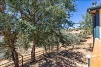 30435 Horsethief Drive Property Photo 56