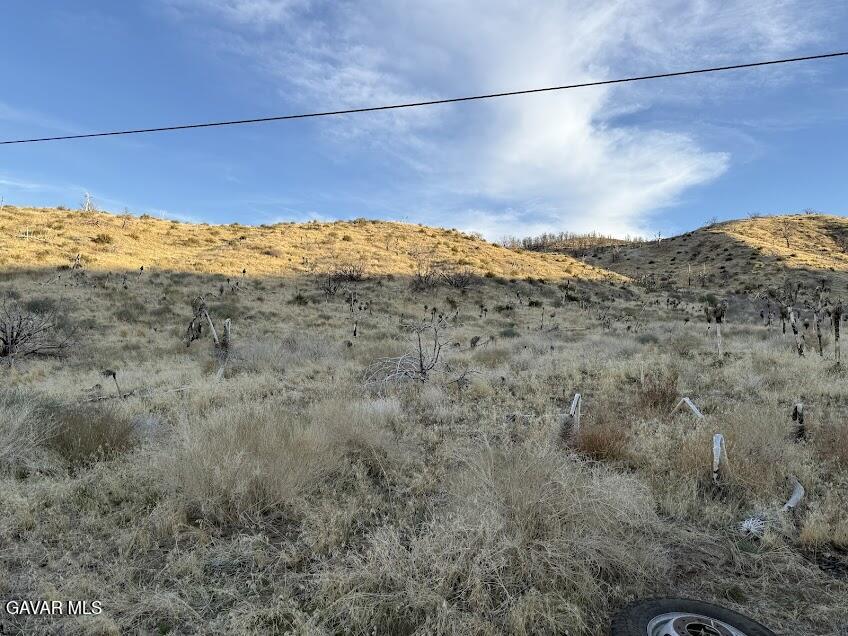 0 Vac/vic 200 Street Property Photo 66