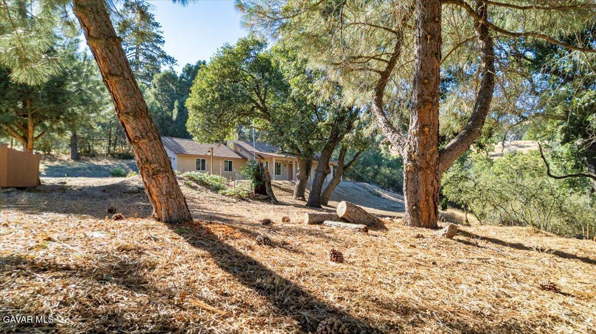 25340 Deertrail Drive Property Photo 35