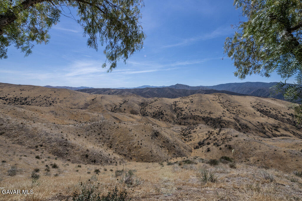 30668 3/4 Tick Canyon Property Photo 38