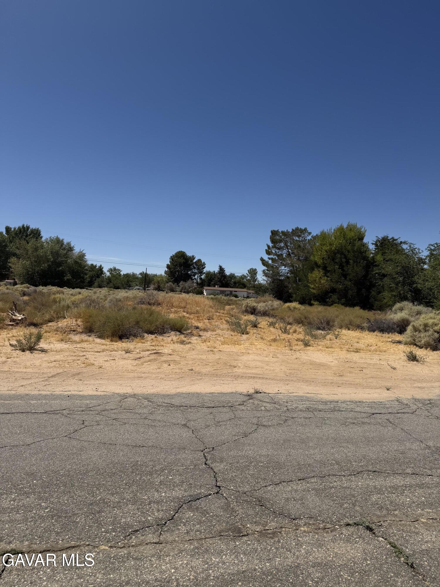 16844 Mountain Avenue Property Photo 3