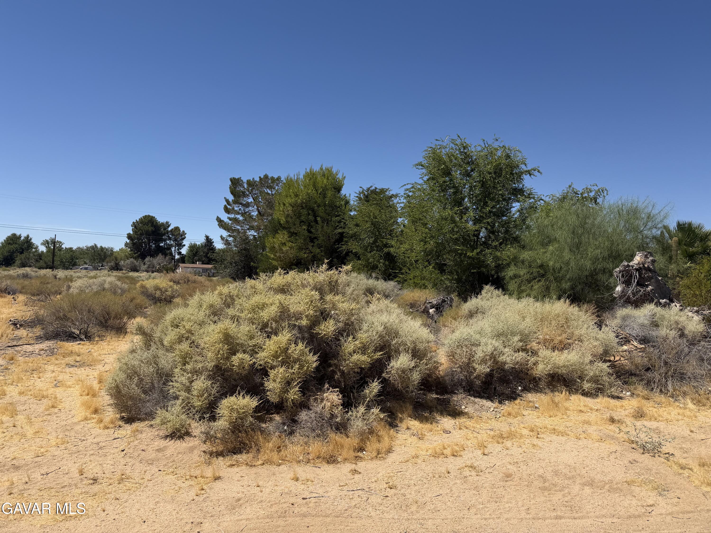 16844 Mountain Avenue Property Photo 11