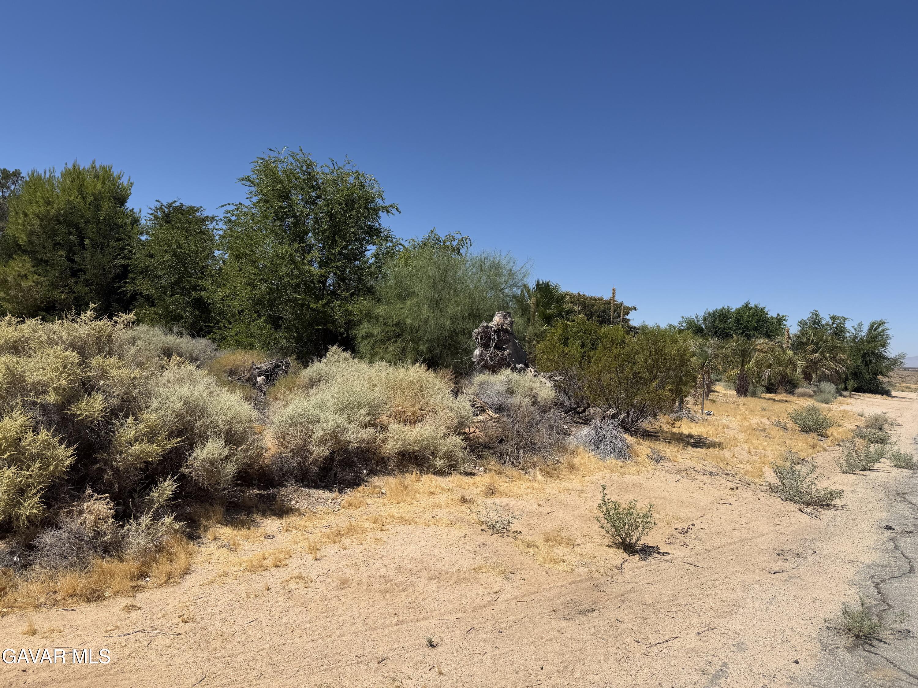 16844 Mountain Avenue Property Photo 12