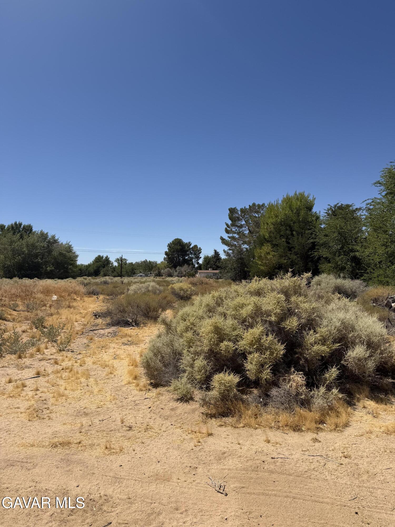 16844 Mountain Avenue Property Photo 13