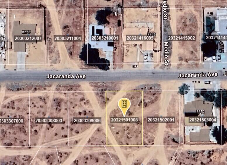 Jacaranda Avenue Property Photo 4