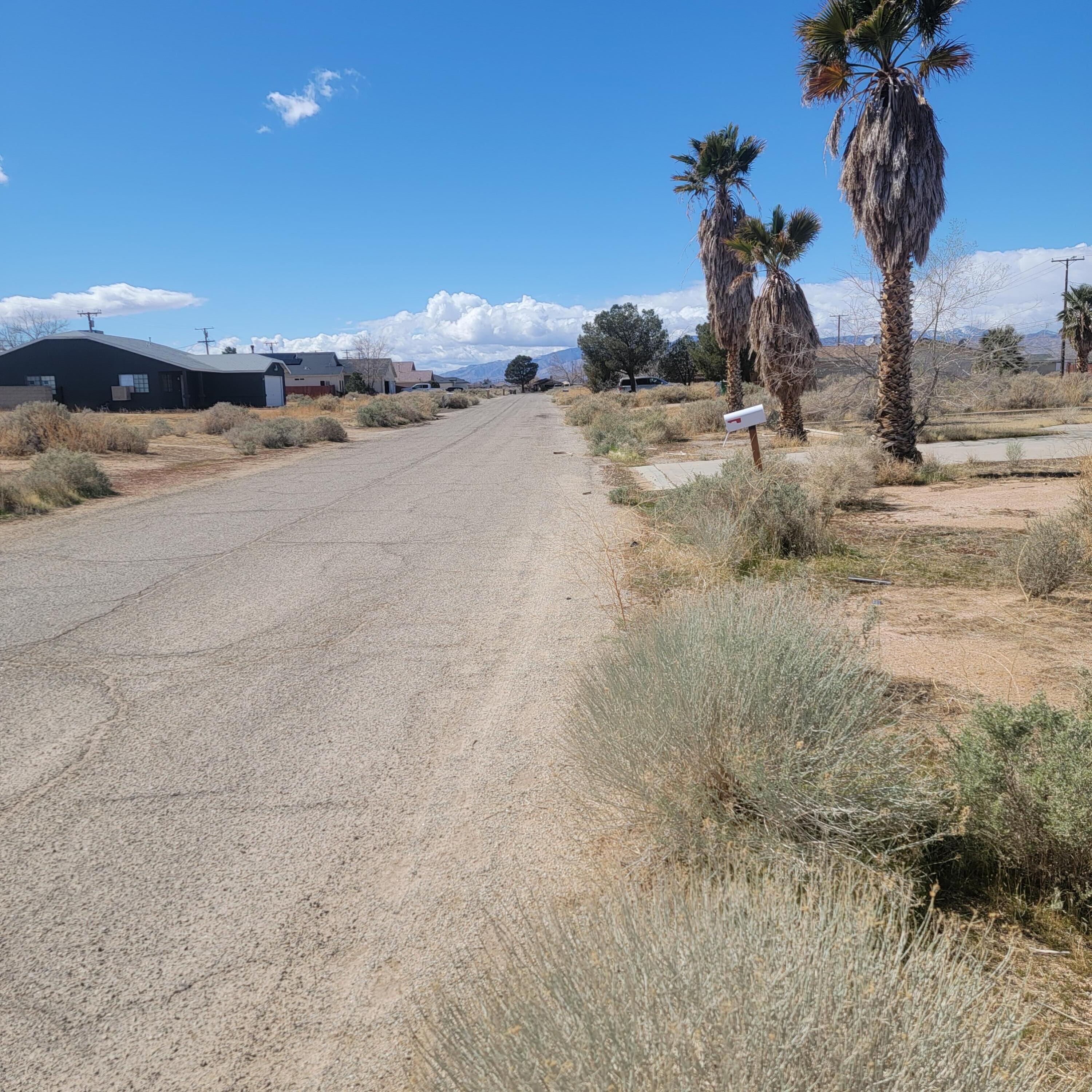 Jimson Avenue Property Photo 3