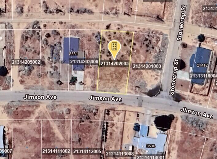Jimson Avenue Property Photo 4