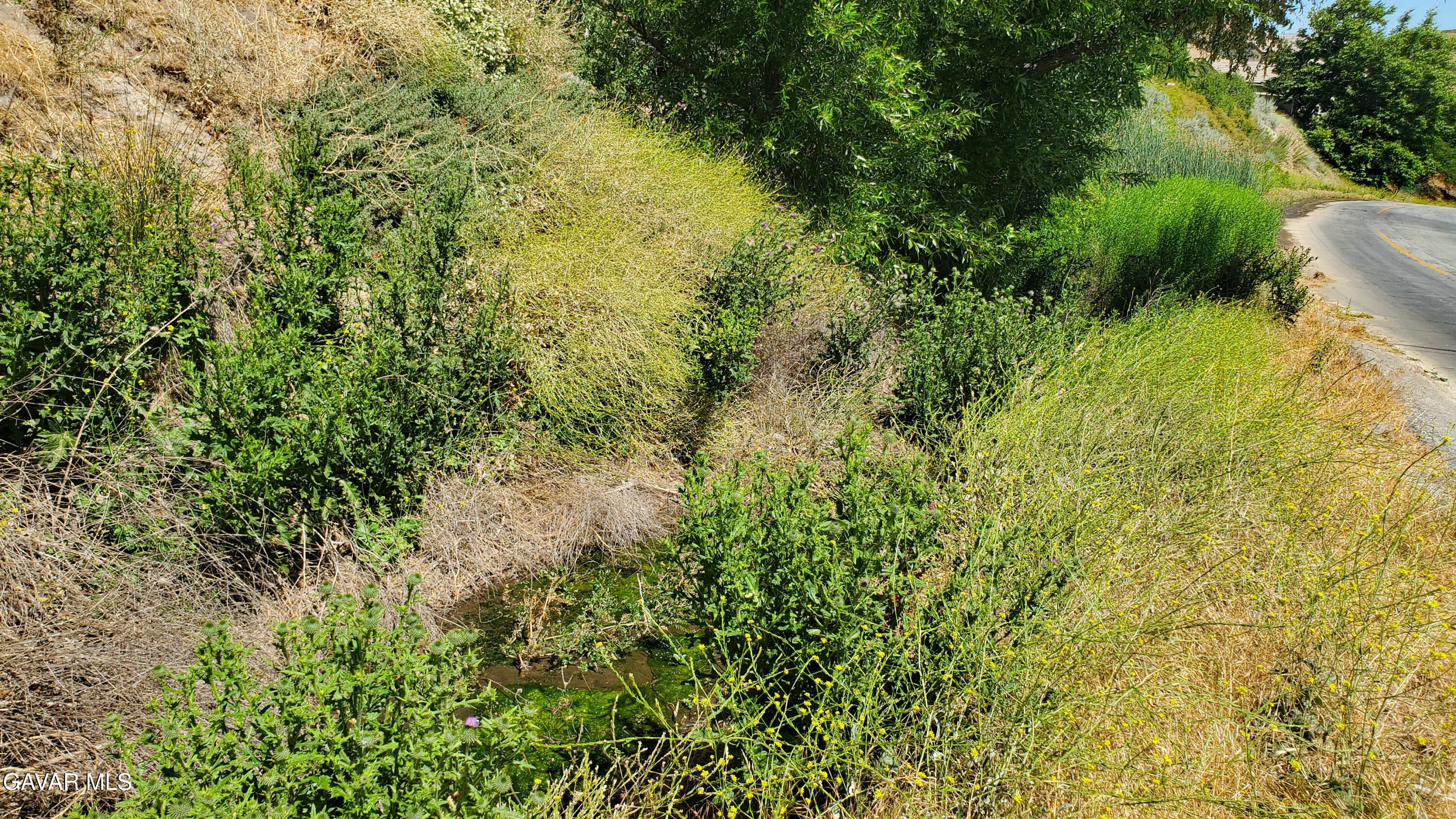 Ranch Club Rd Property Photo 6