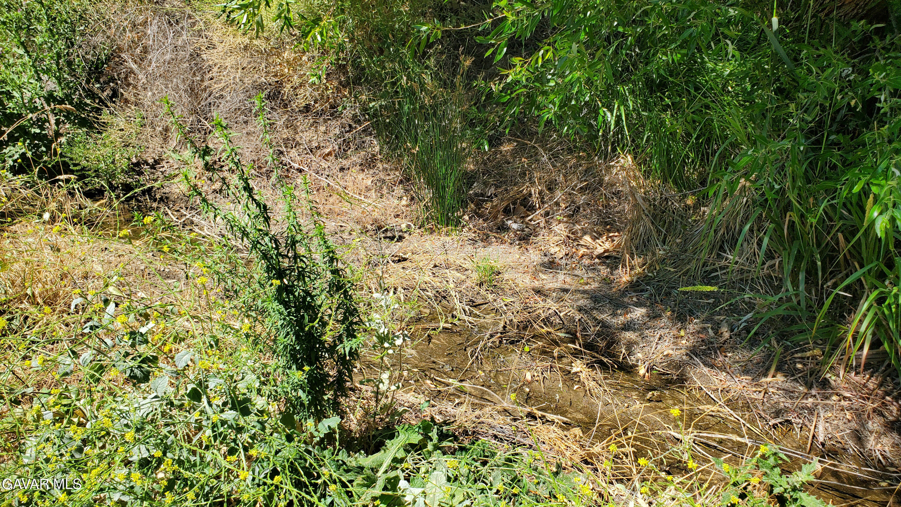 Ranch Club Rd Property Photo 7