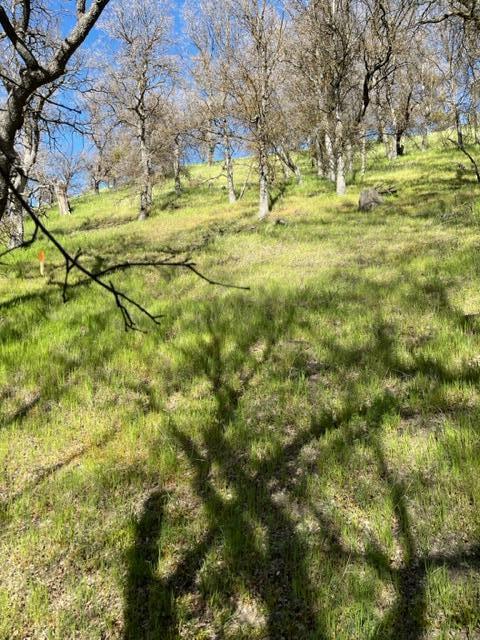 22948 Rim Way Property Photo 14