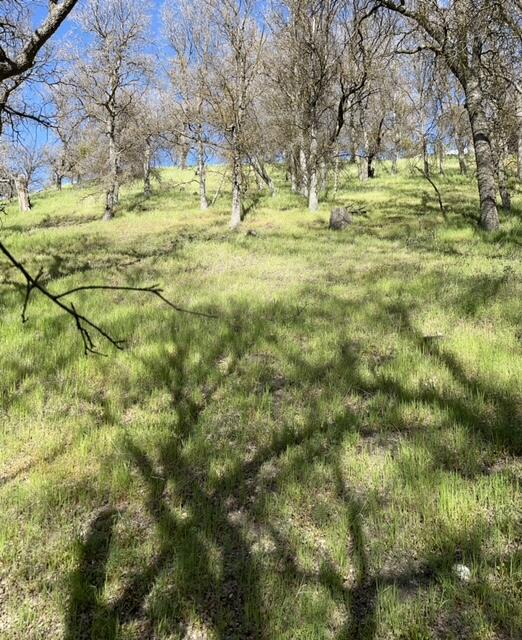 22948 Rim Way Property Photo 15