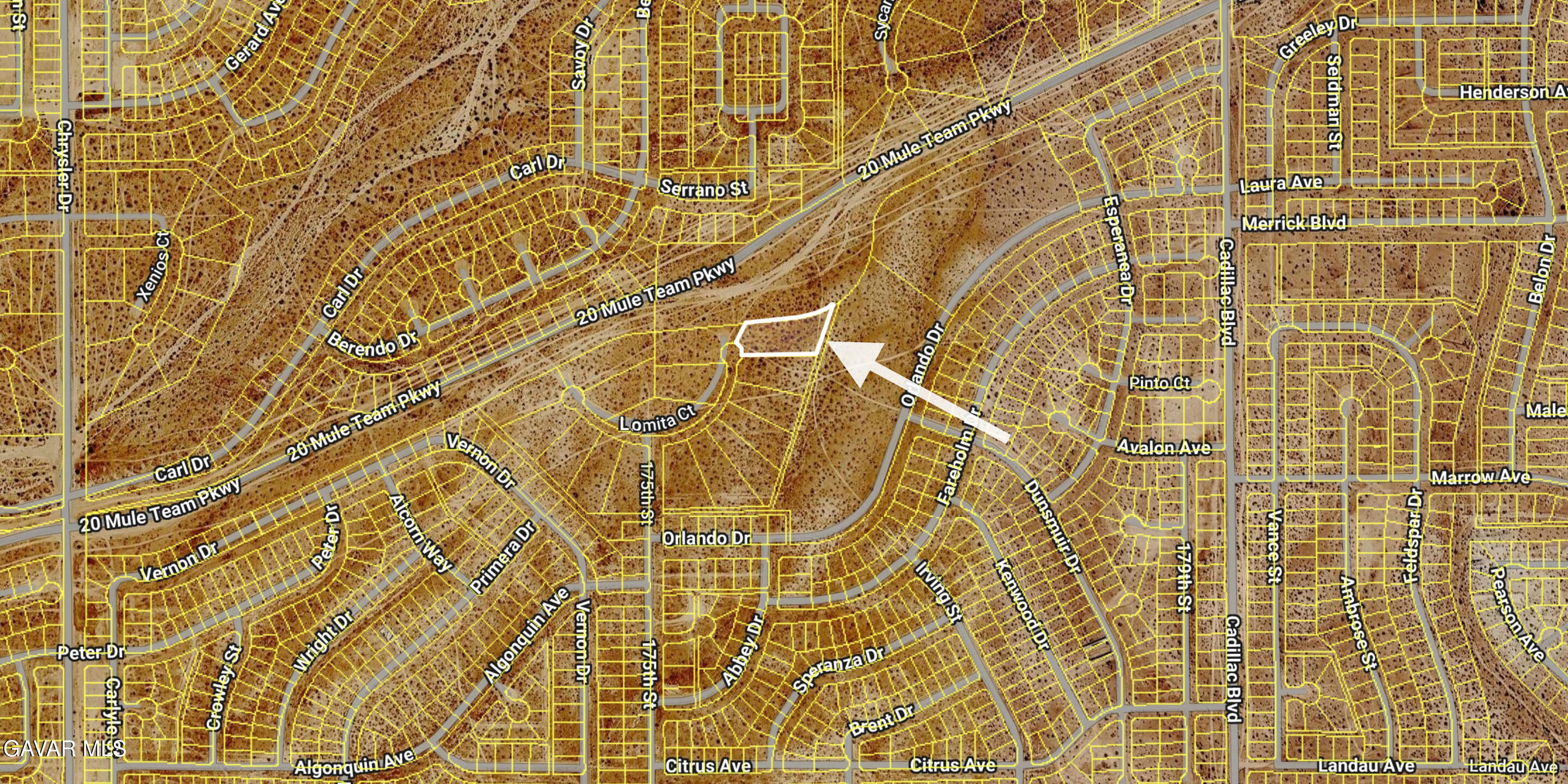 Lomita Ct Property Photo 19