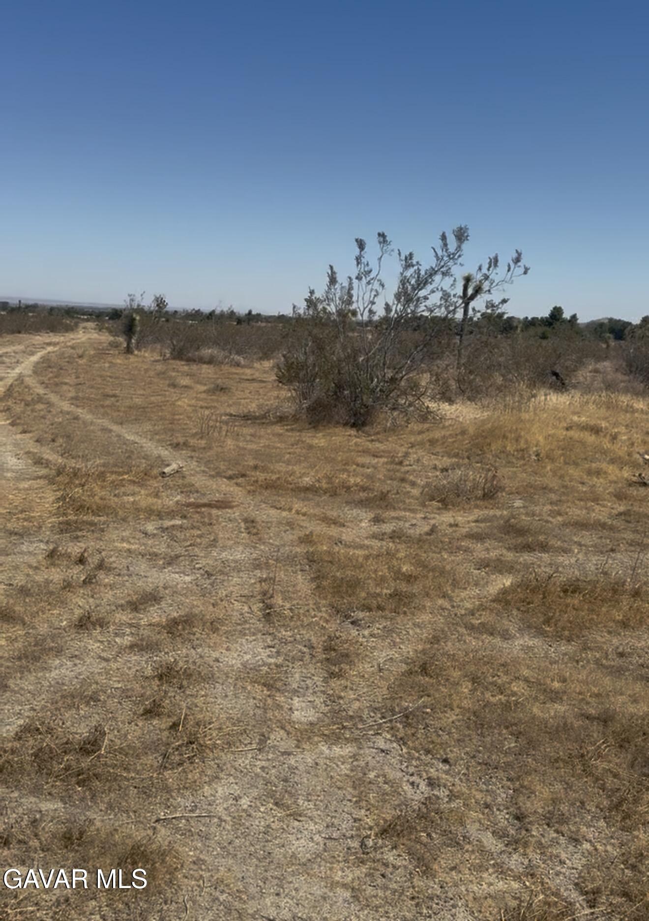 Vic Pearblossom Highway 89th Property Photo 1