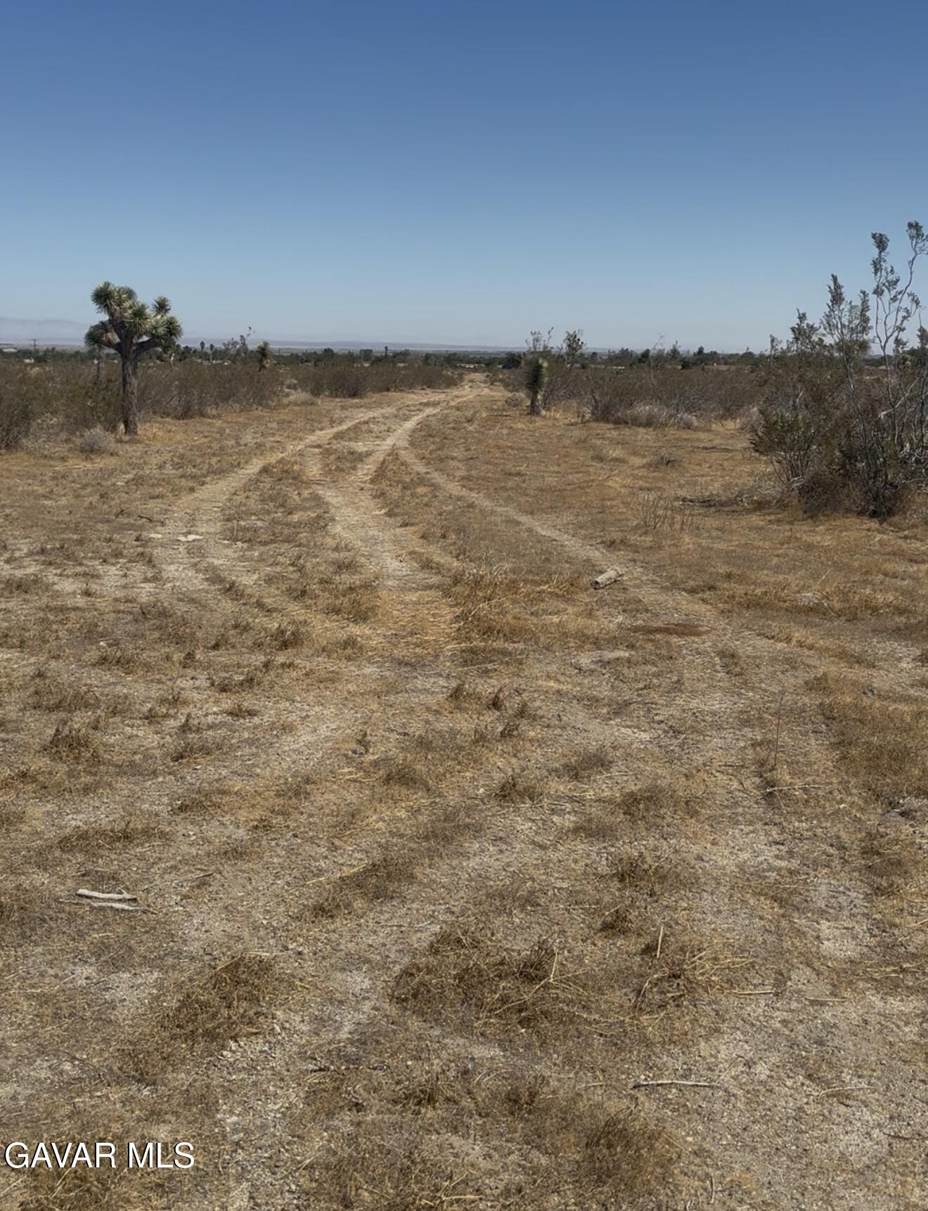 Vic Pearblossom Highway 89th Property Photo 2