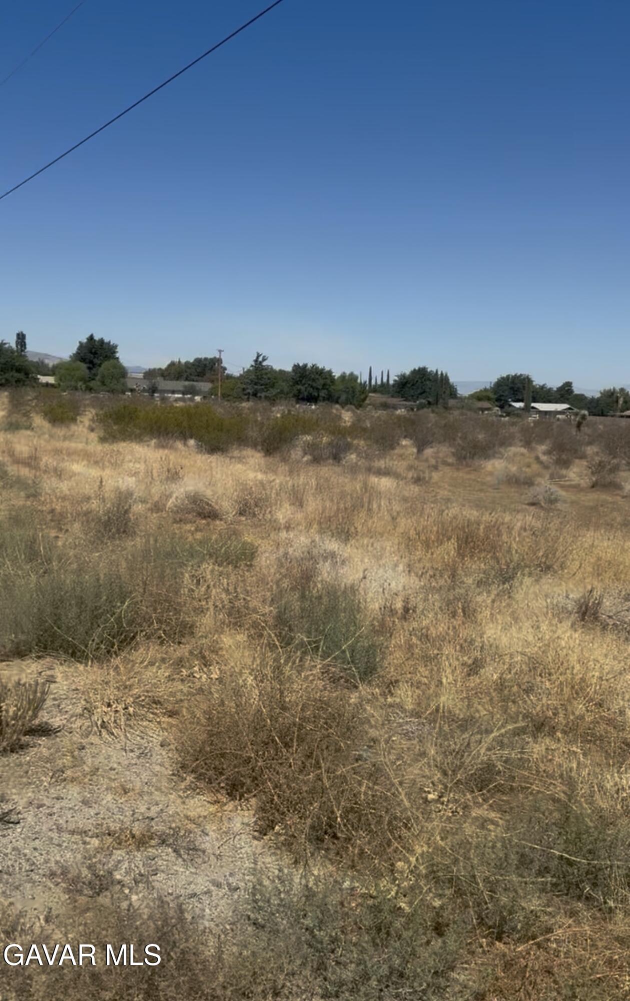 Vic Pearblossom Highway 89th Property Photo 3