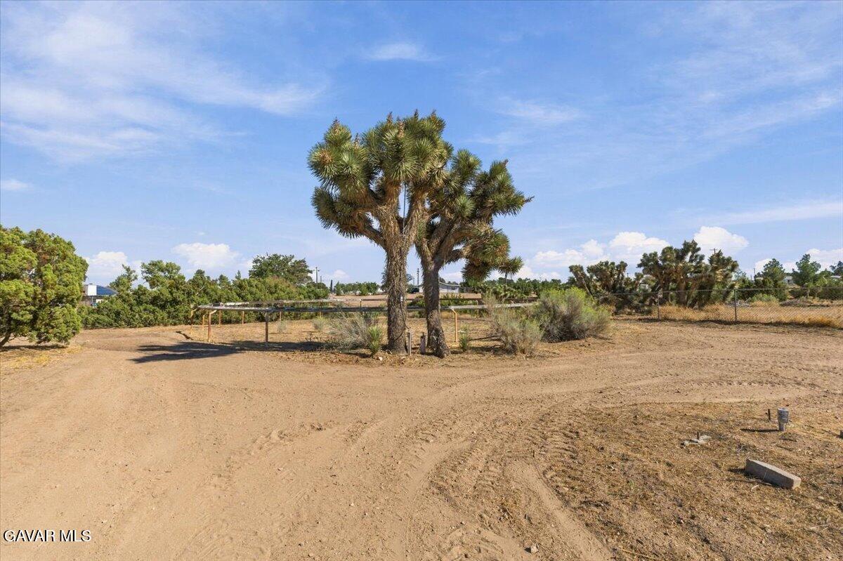 6433 Sunnyslope Road Property Photo 41