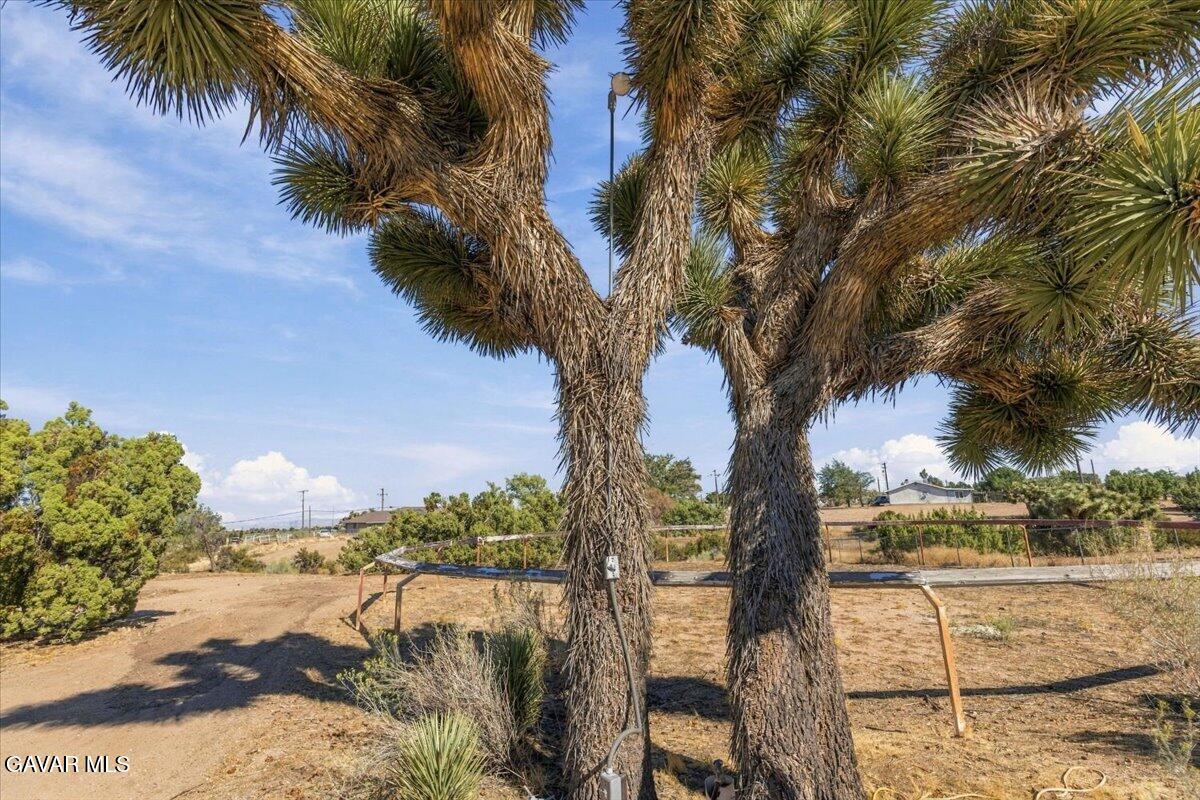 6433 Sunnyslope Road Property Photo 42