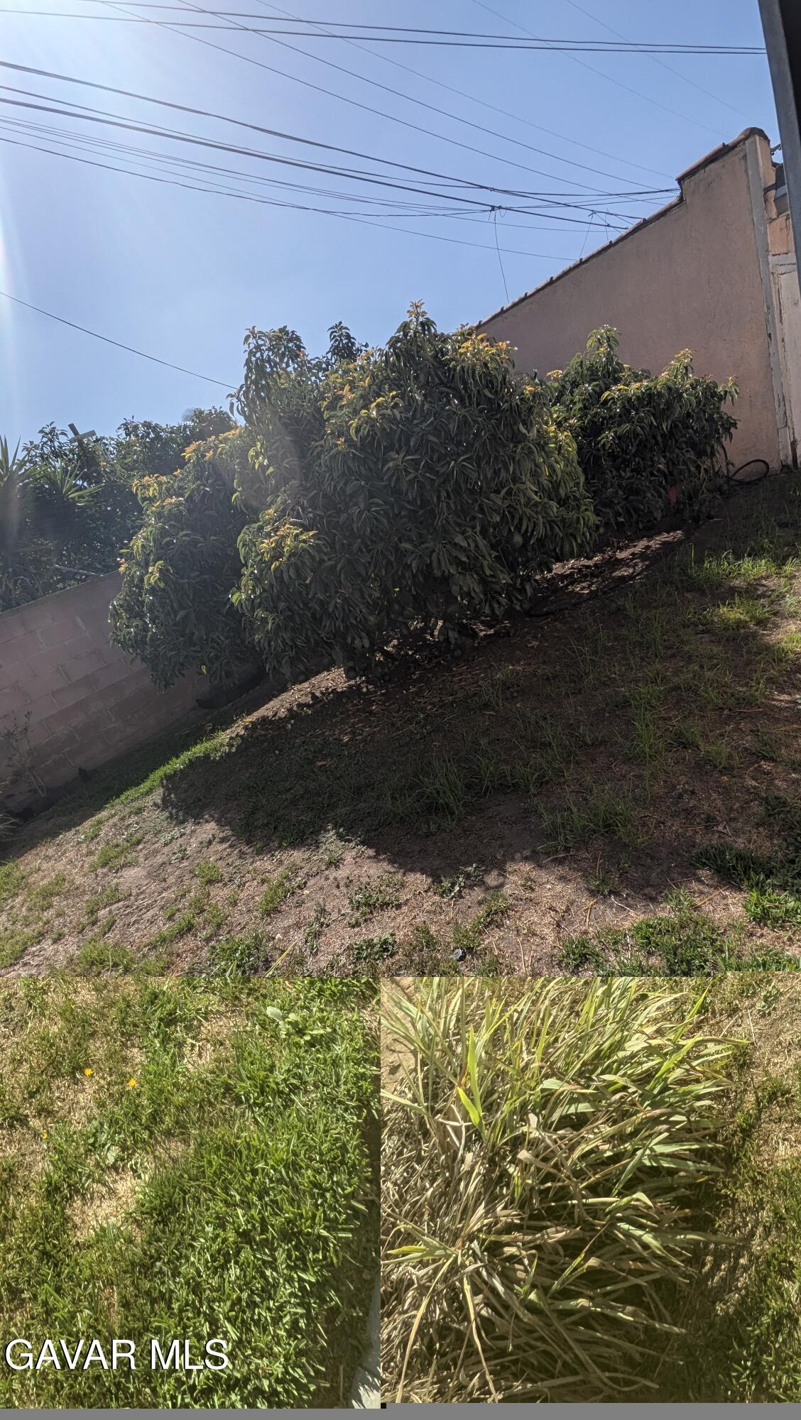 1930 S Palm Grove Avenue Property Photo 3