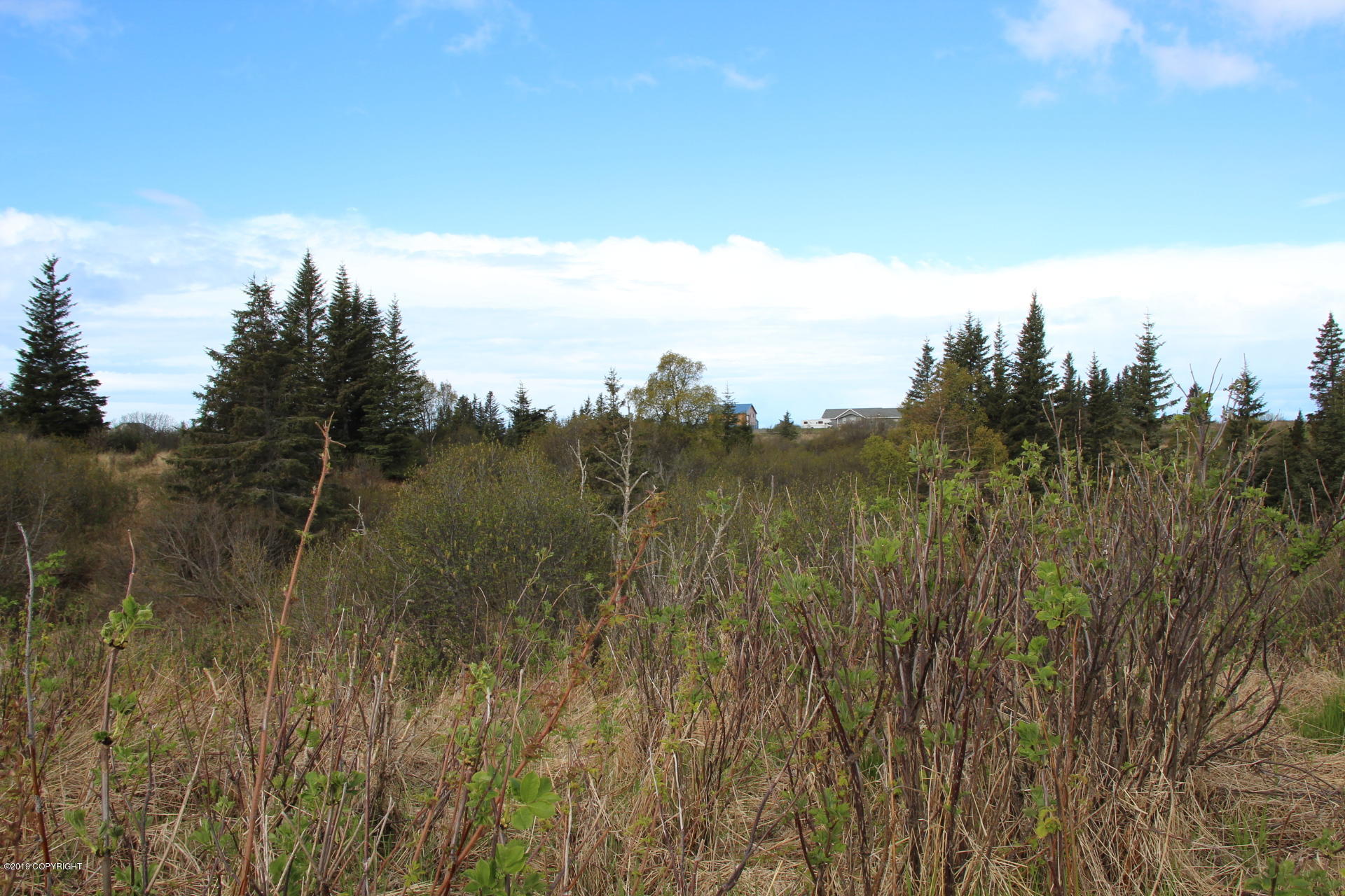 17244 Hyila Lane Property Photo 2