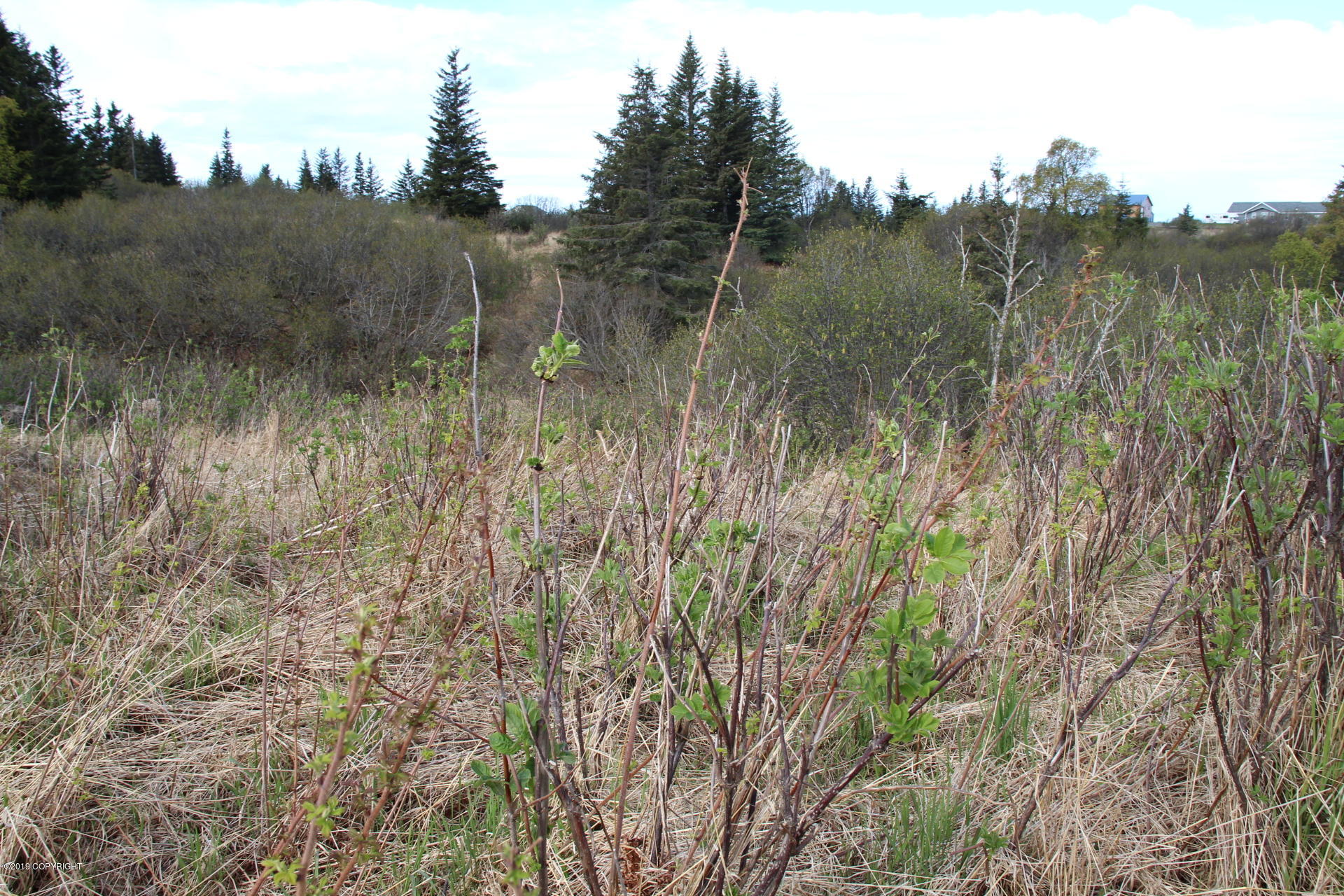 17244 Hyila Lane Property Photo 3