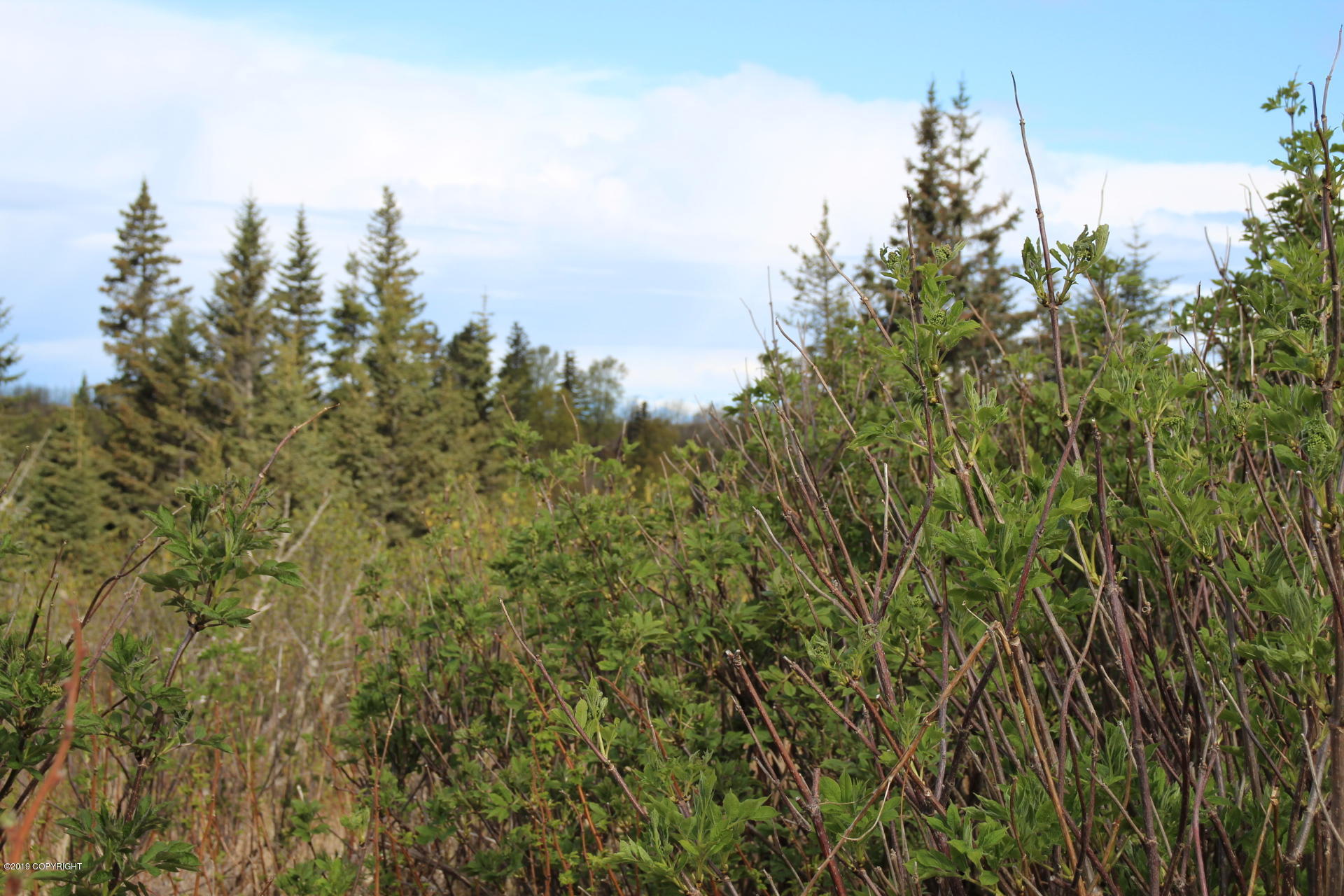 17244 Hyila Lane Property Photo 4