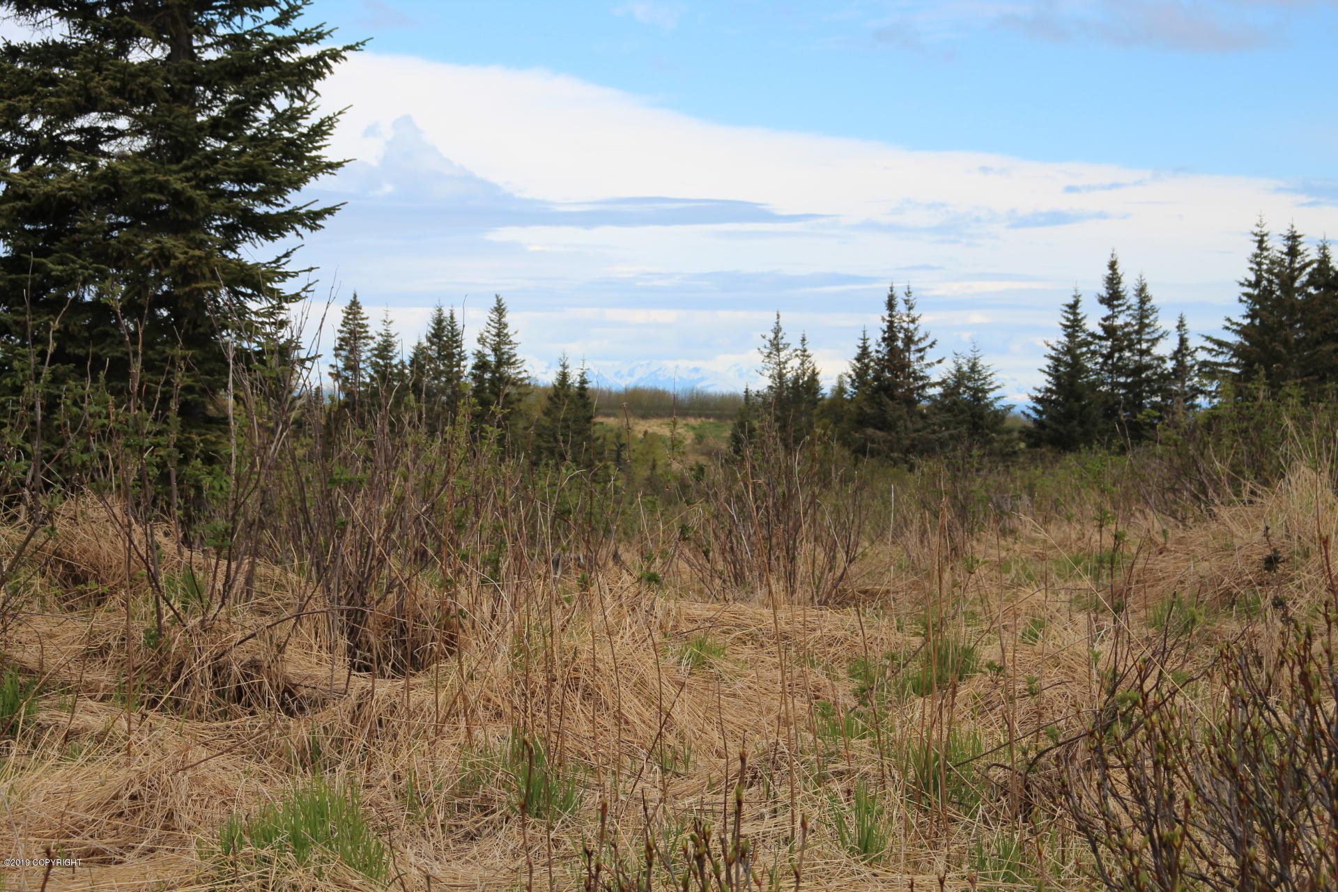 17354 Hyila Lane Property Photo 1