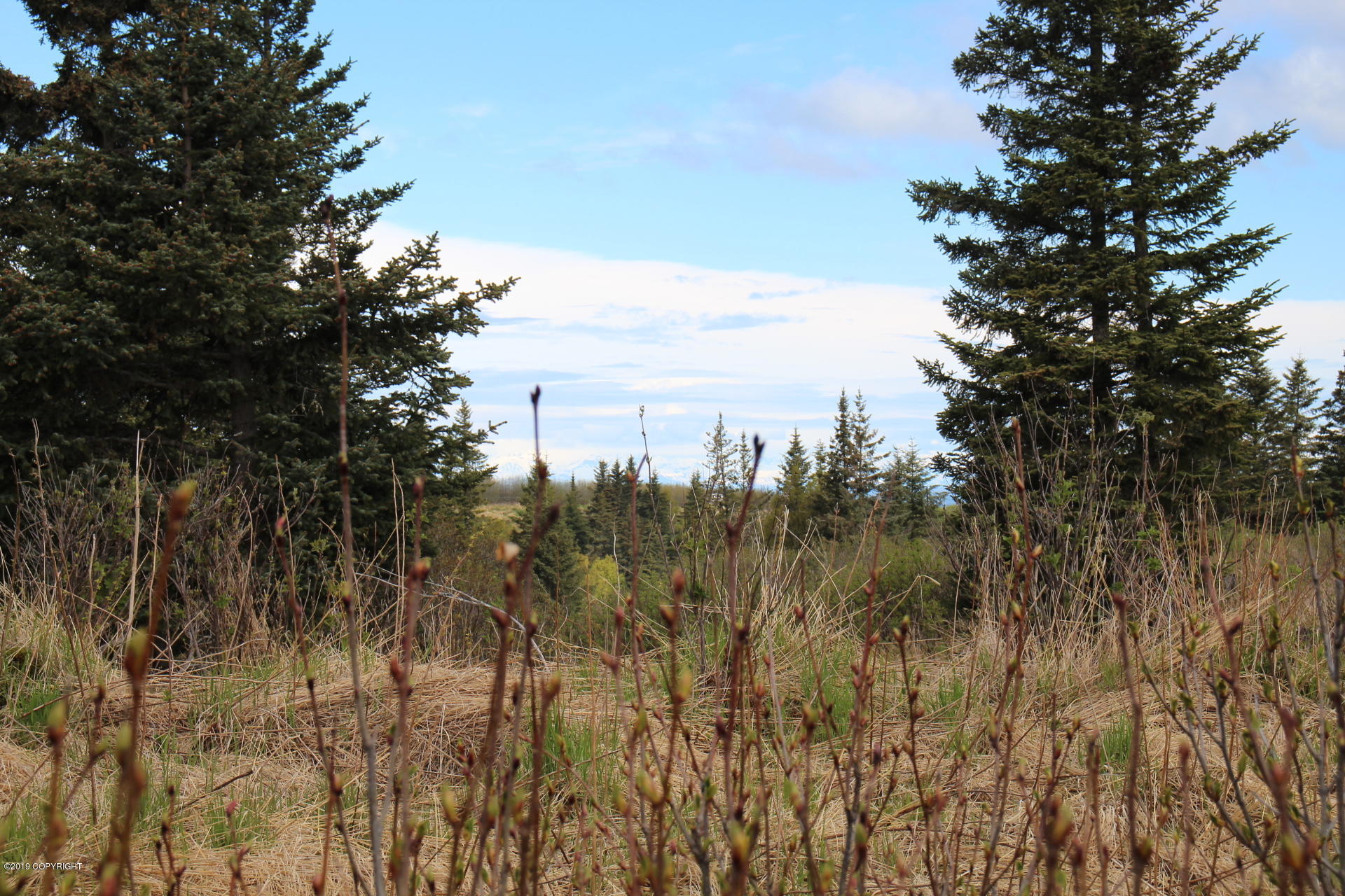 17354 Hyila Lane Property Photo 2