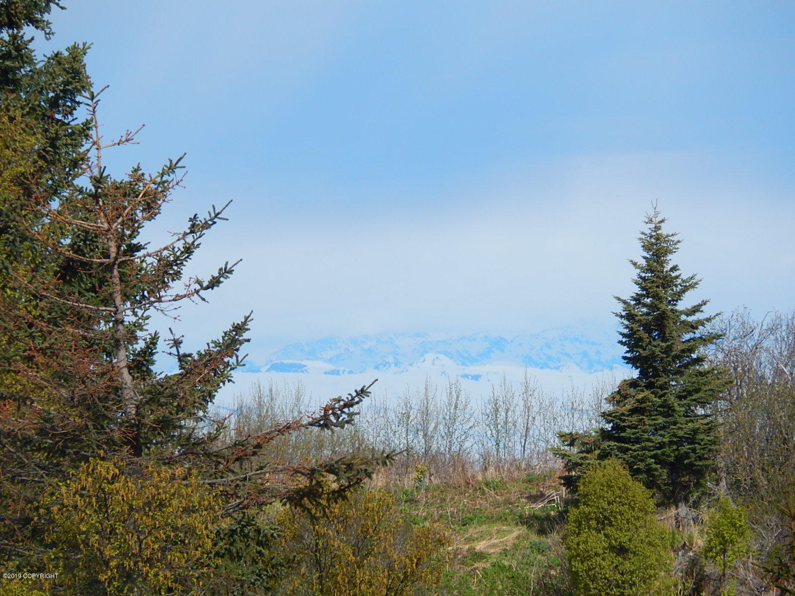 17286 Hyila Lane Property Photo 1