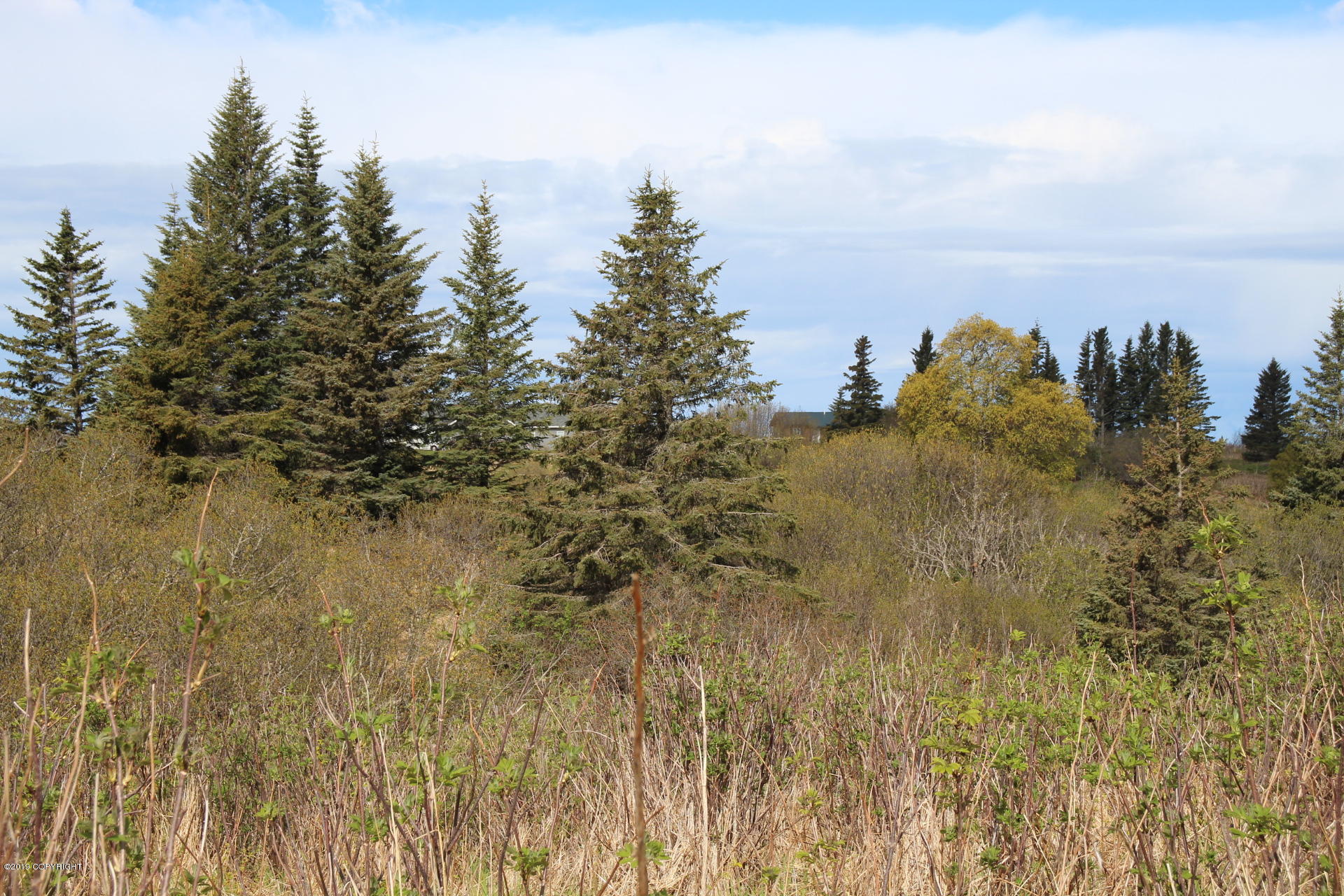 17286 Hyila Lane Property Photo 3