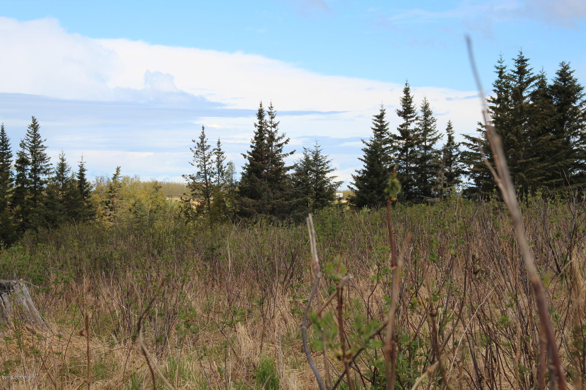 17286 Hyila Lane Property Photo 4