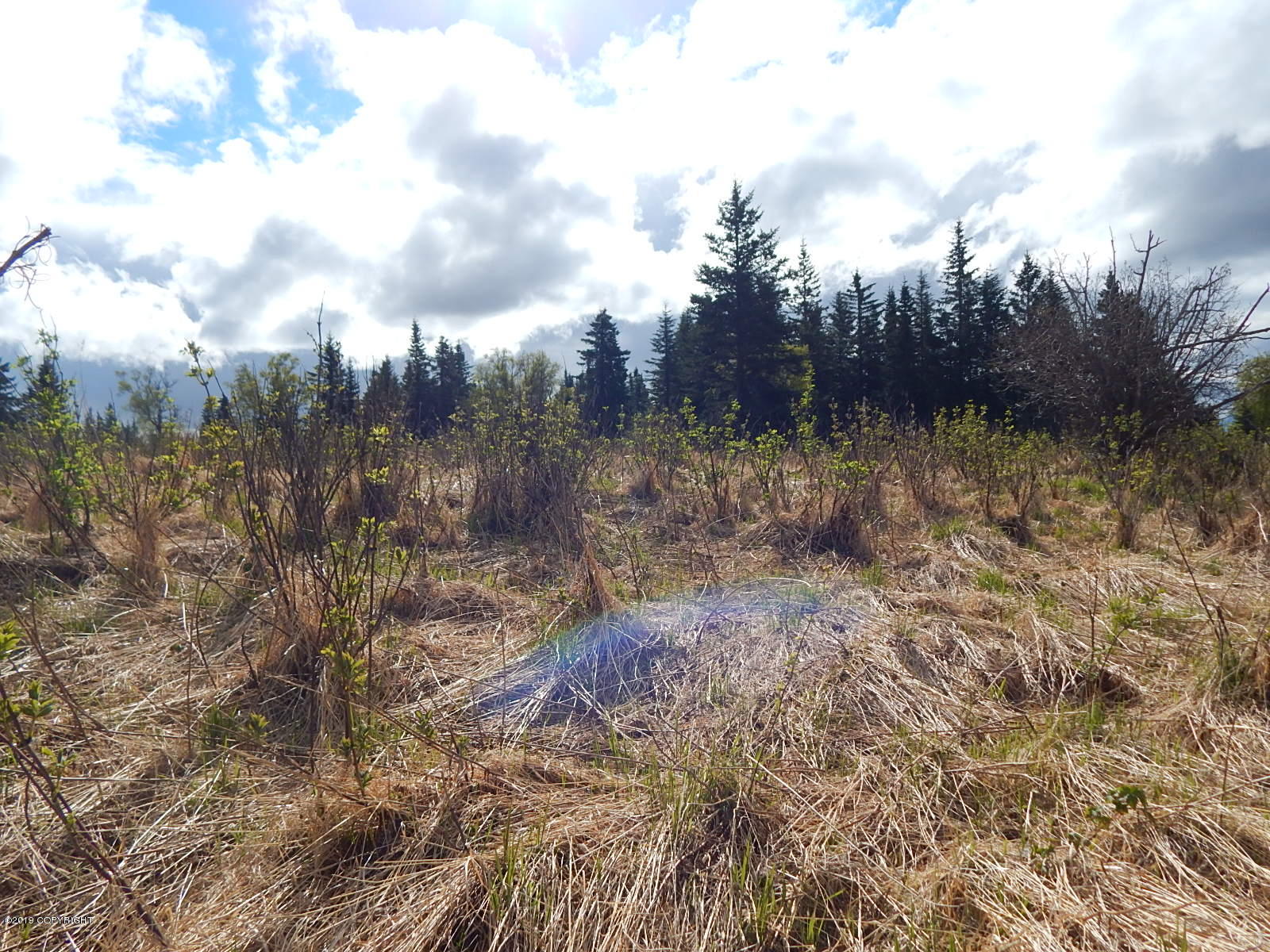 17286 Hyila Lane Property Photo 7