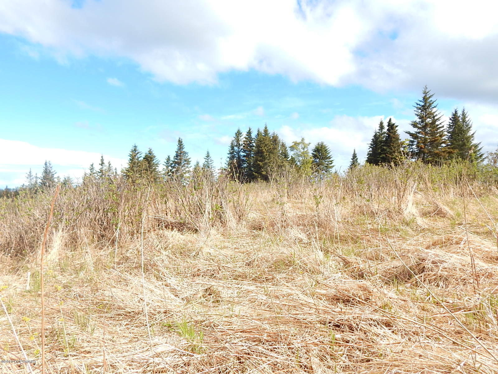 17286 Hyila Lane Property Photo 9