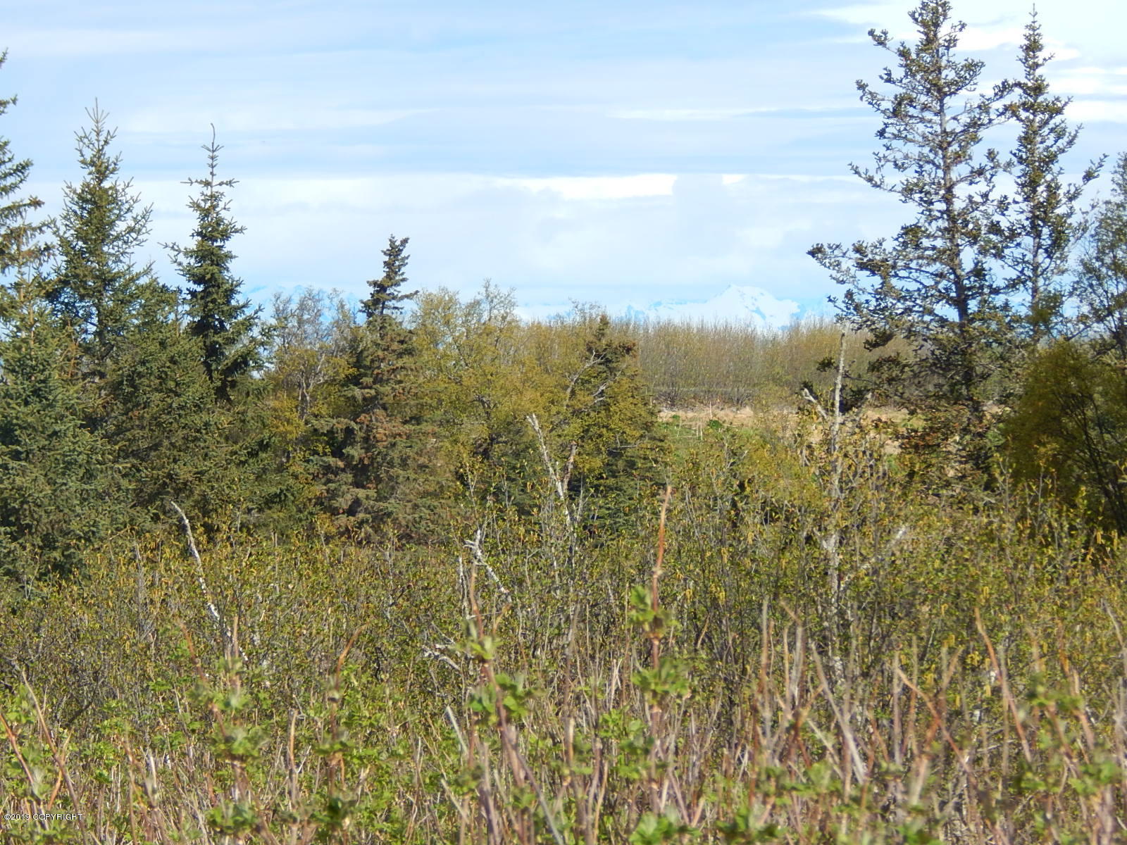 17286 Hyila Lane Property Photo 10