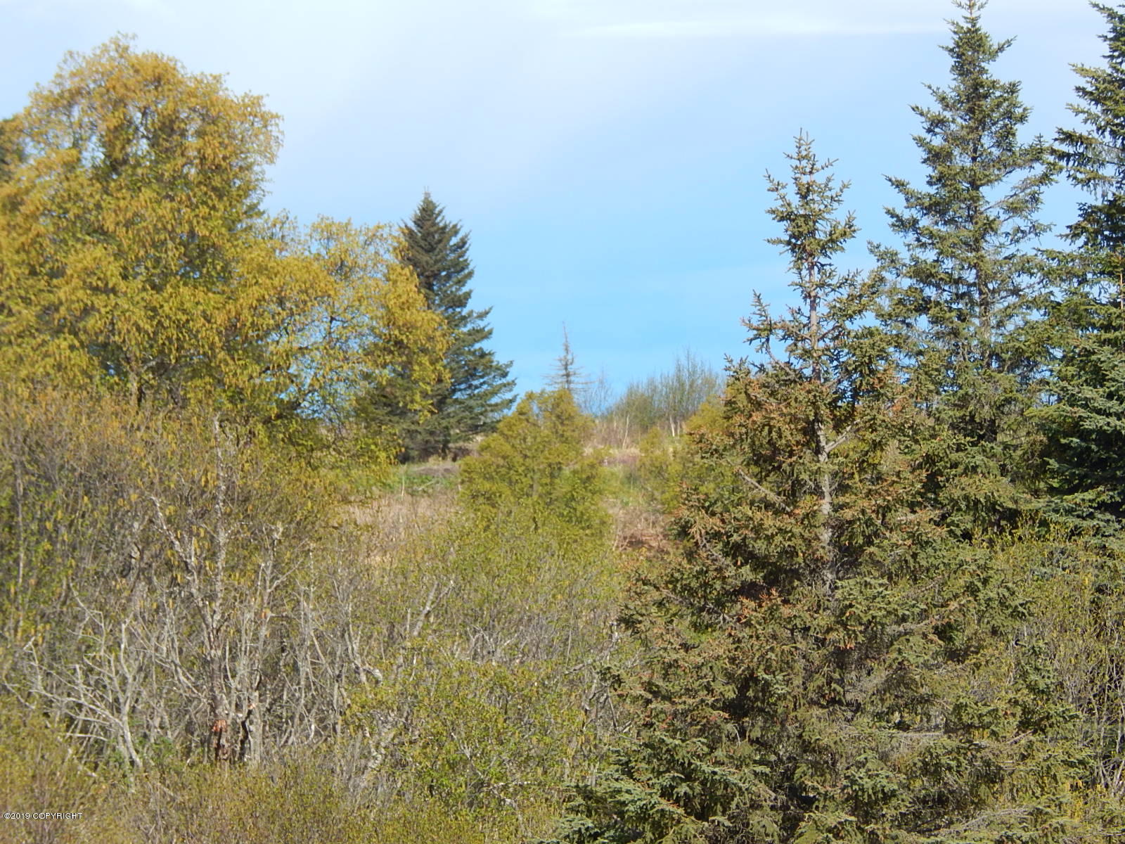 17286 Hyila Lane Property Photo 11