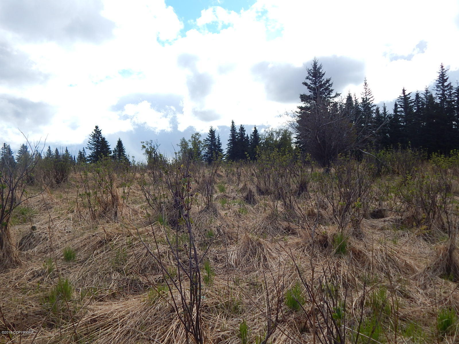 17286 Hyila Lane Property Photo 12