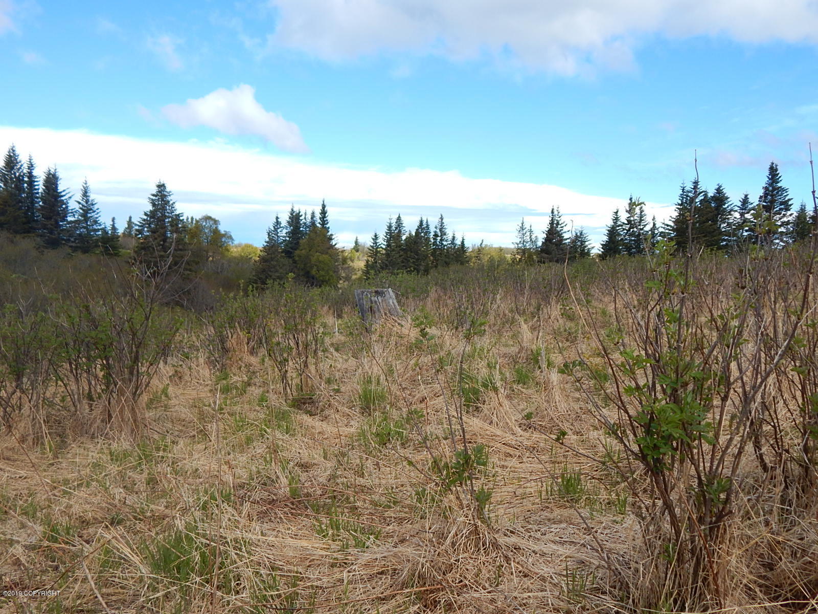17286 Hyila Lane Property Photo 13
