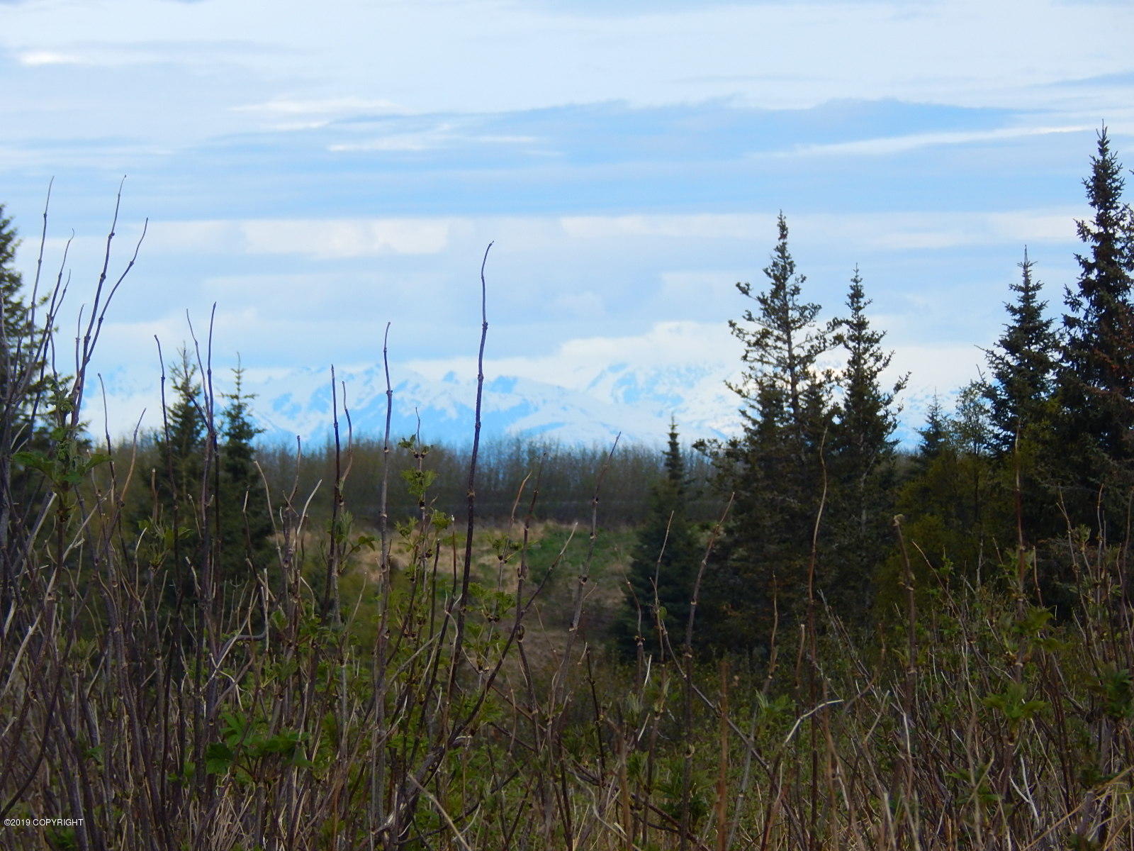 17286 Hyila Lane Property Photo 15