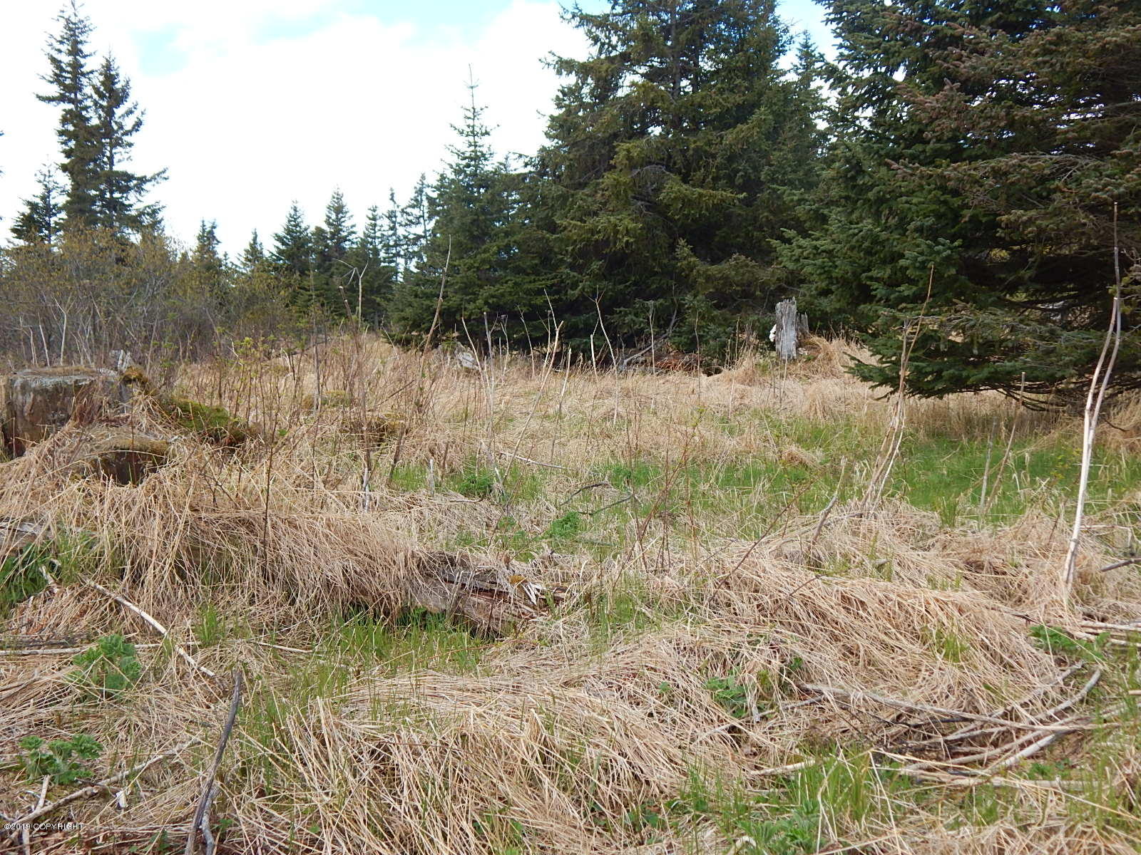 17286 Hyila Lane Property Photo 16