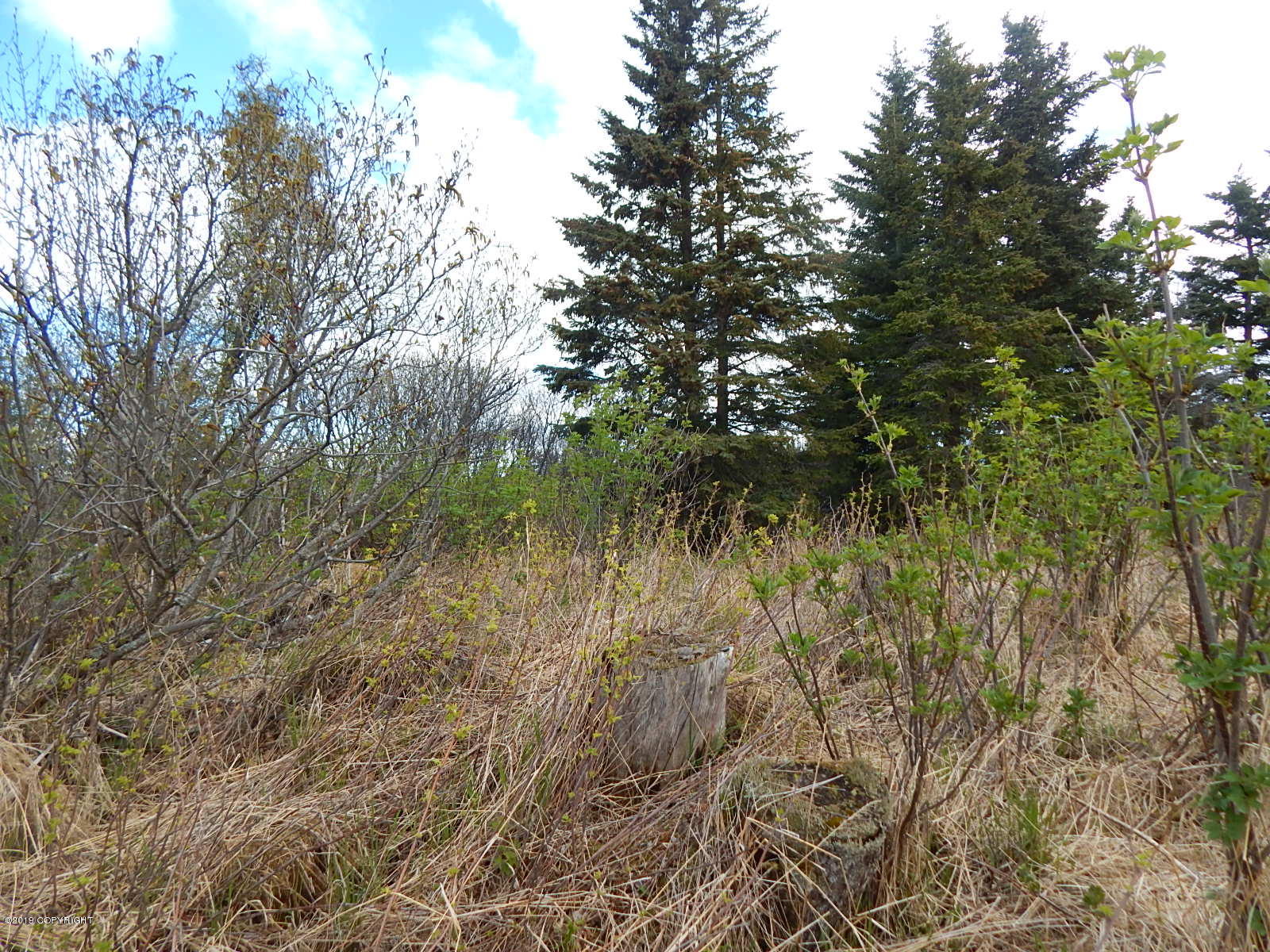 17286 Hyila Lane Property Photo 17