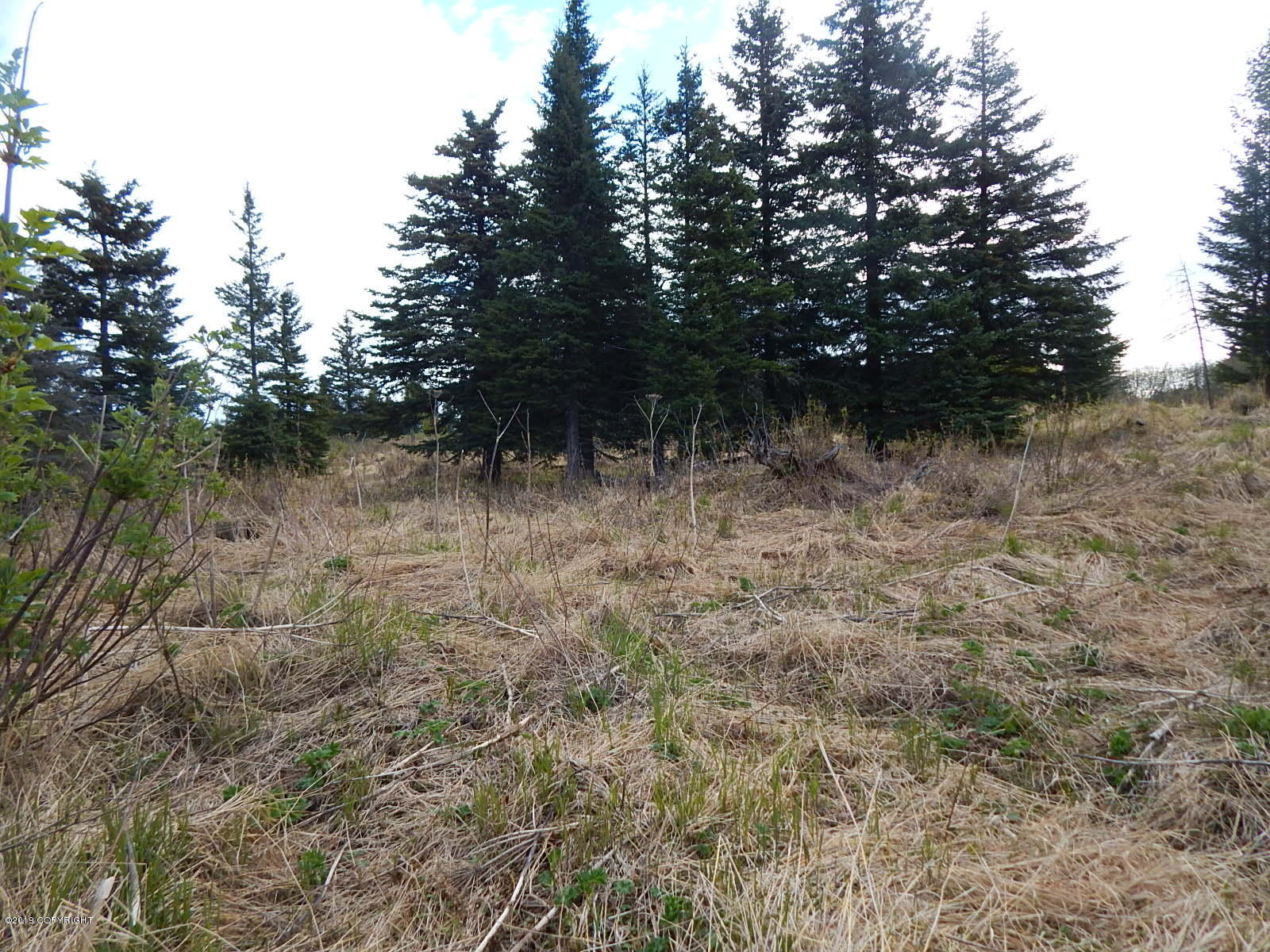 17286 Hyila Lane Property Photo 18