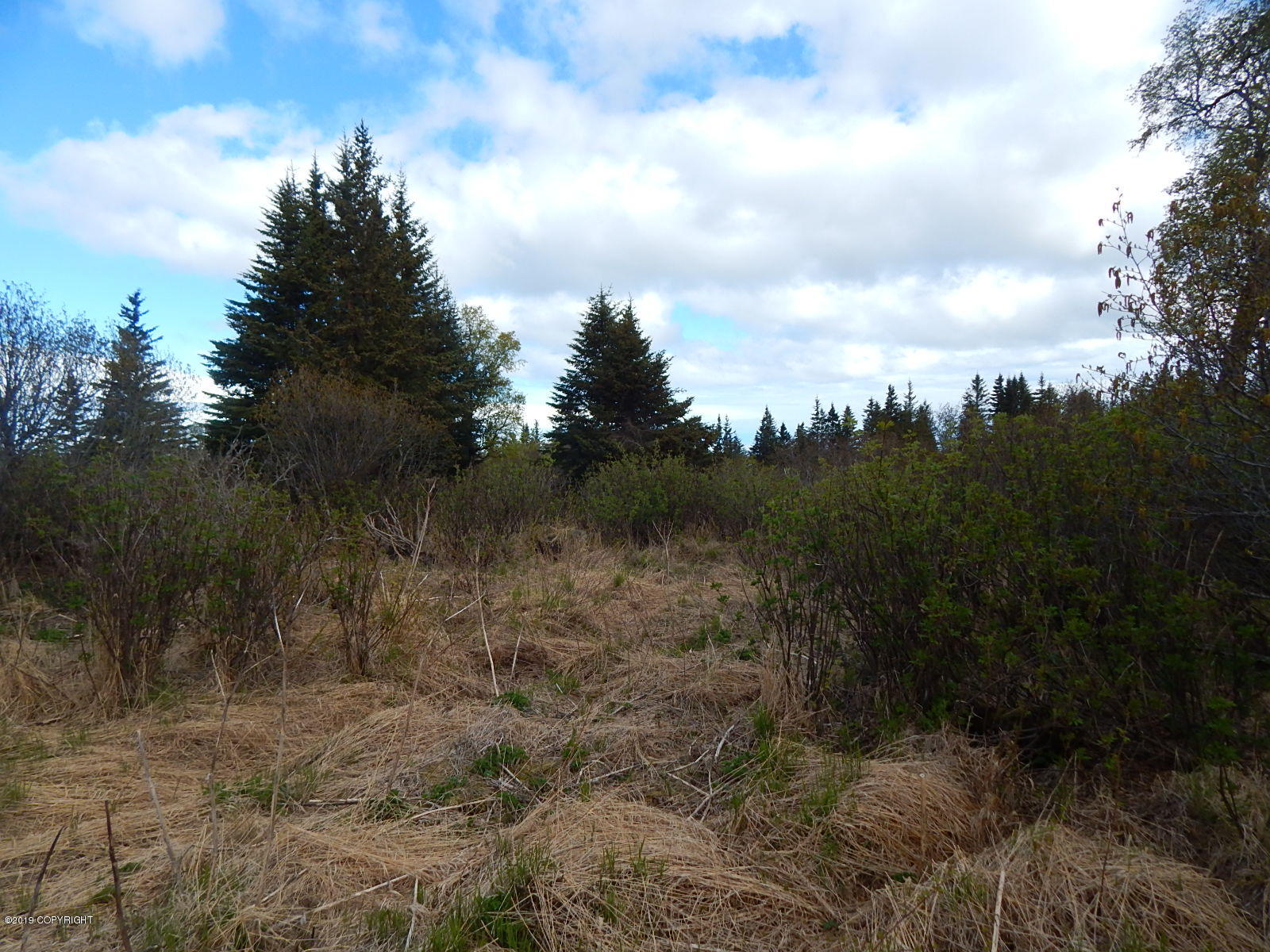 17286 Hyila Lane Property Photo 19