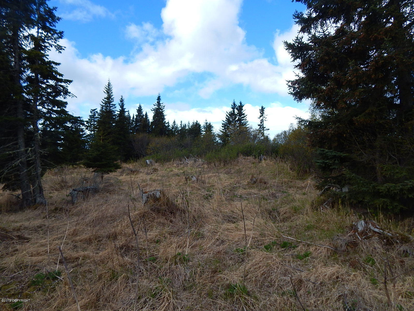 17286 Hyila Lane Property Photo 20