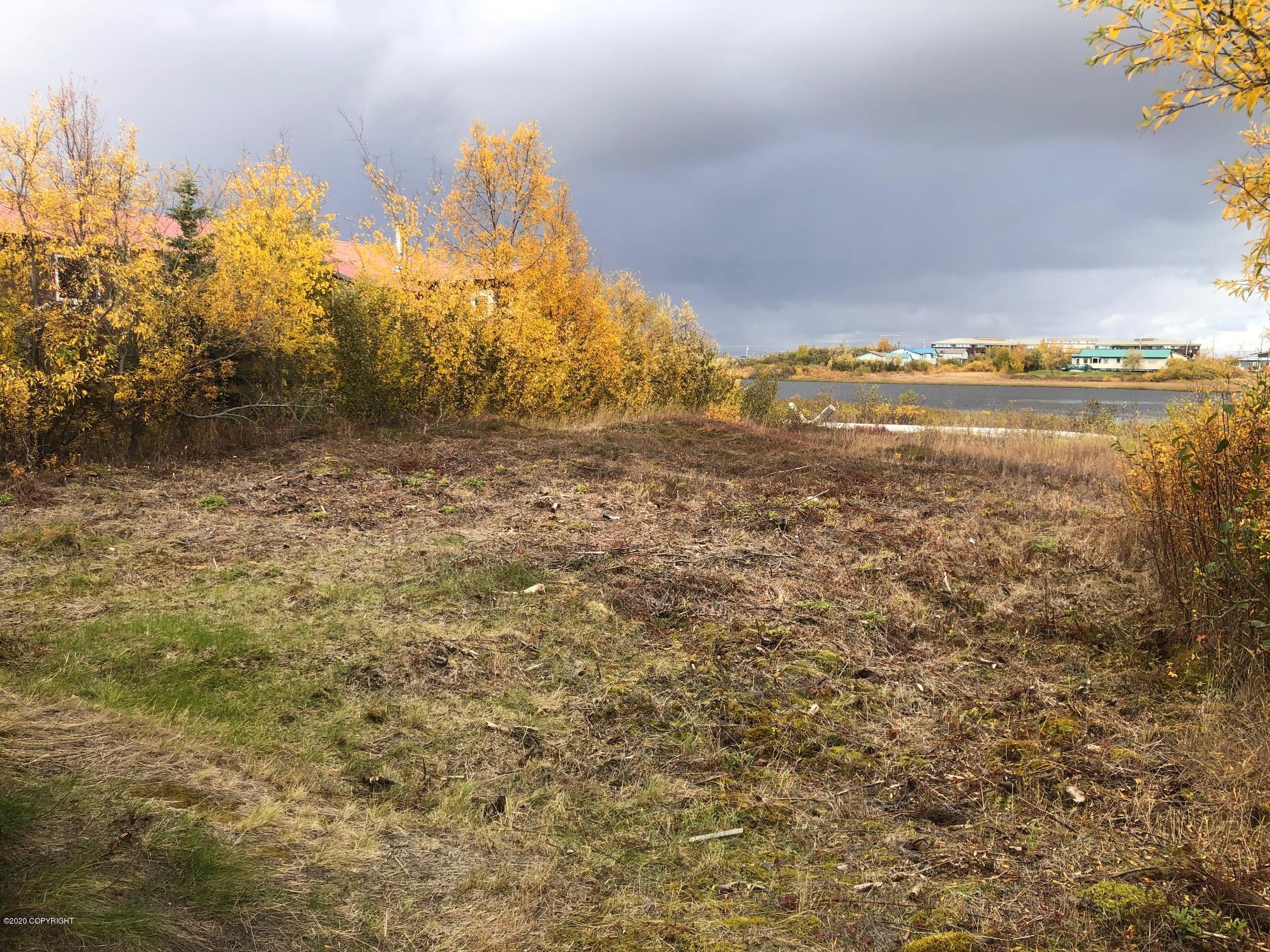 212 Akiak Drive Property Photo 3