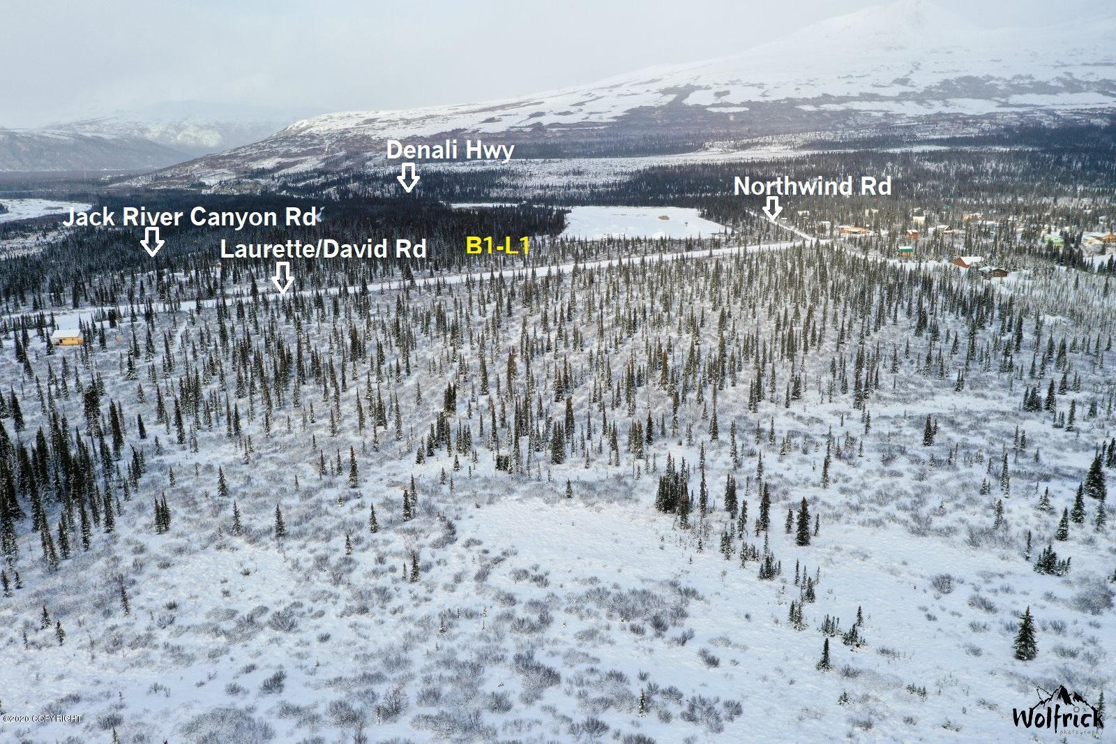 B1-l1 Denali Jack River Canyon Property Photo 6