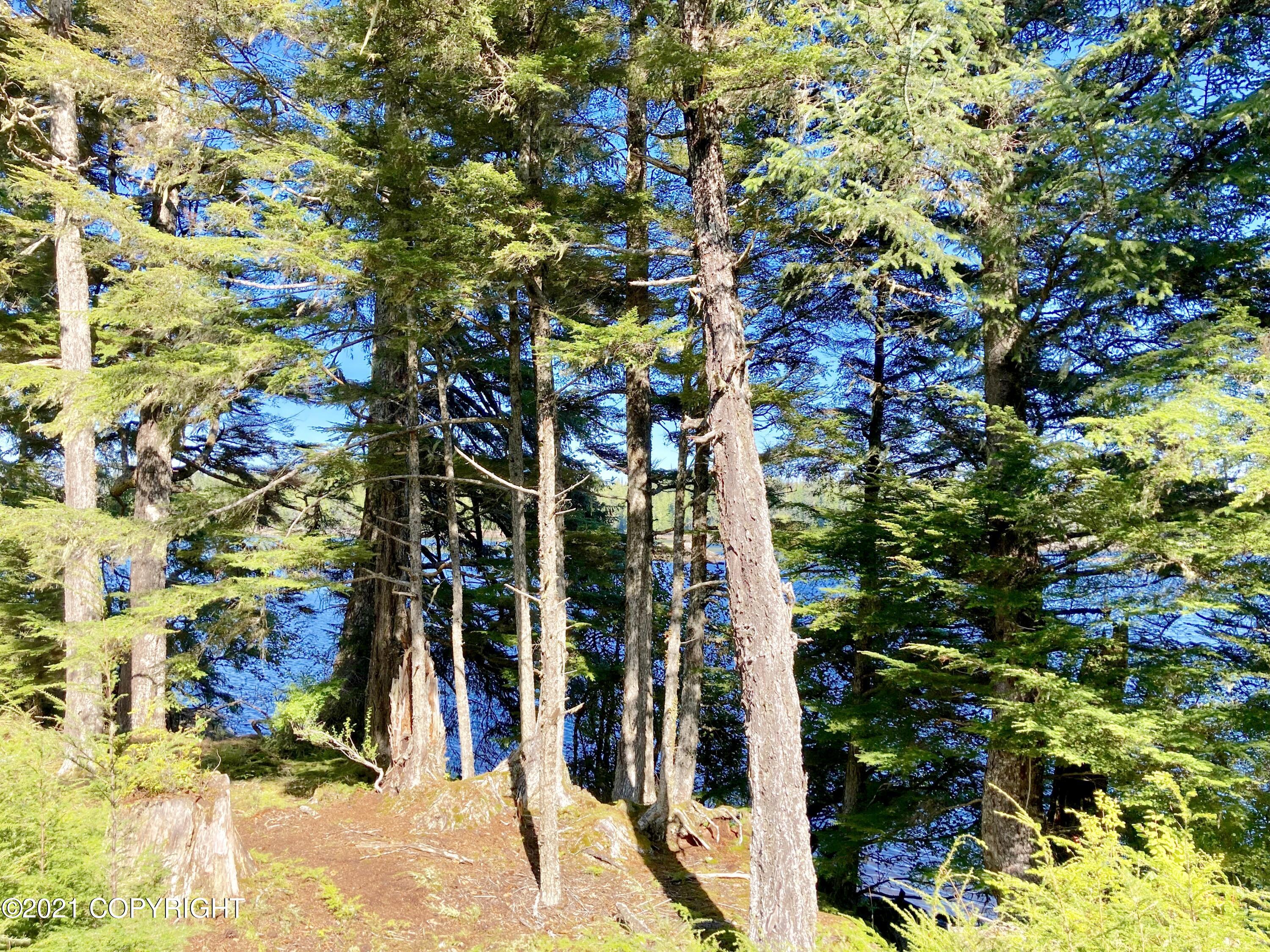 L6b3 Coffman Cove Property Photo 43