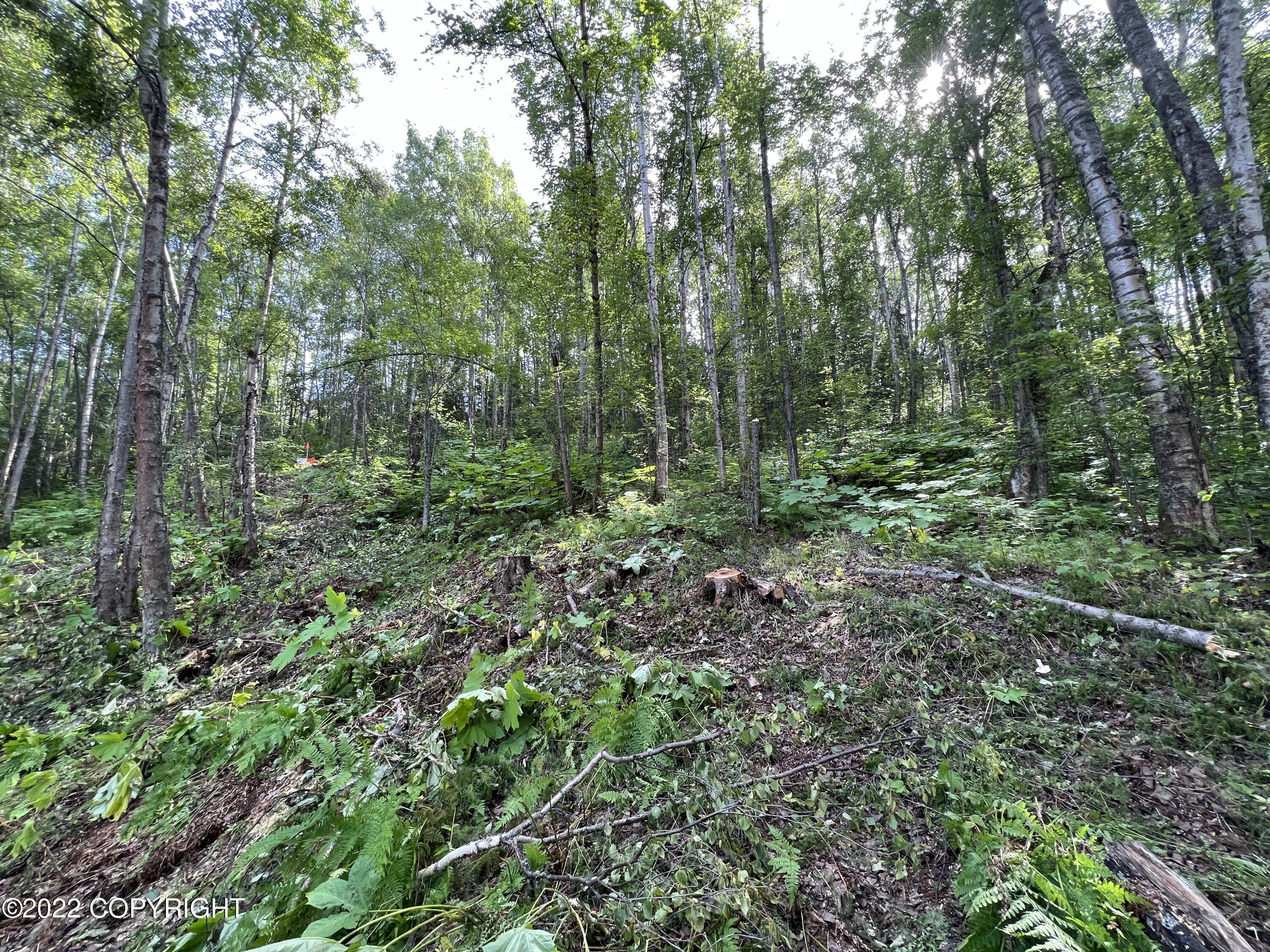 L1 B2 Scimitar Subdivision #1 Property Photo 11