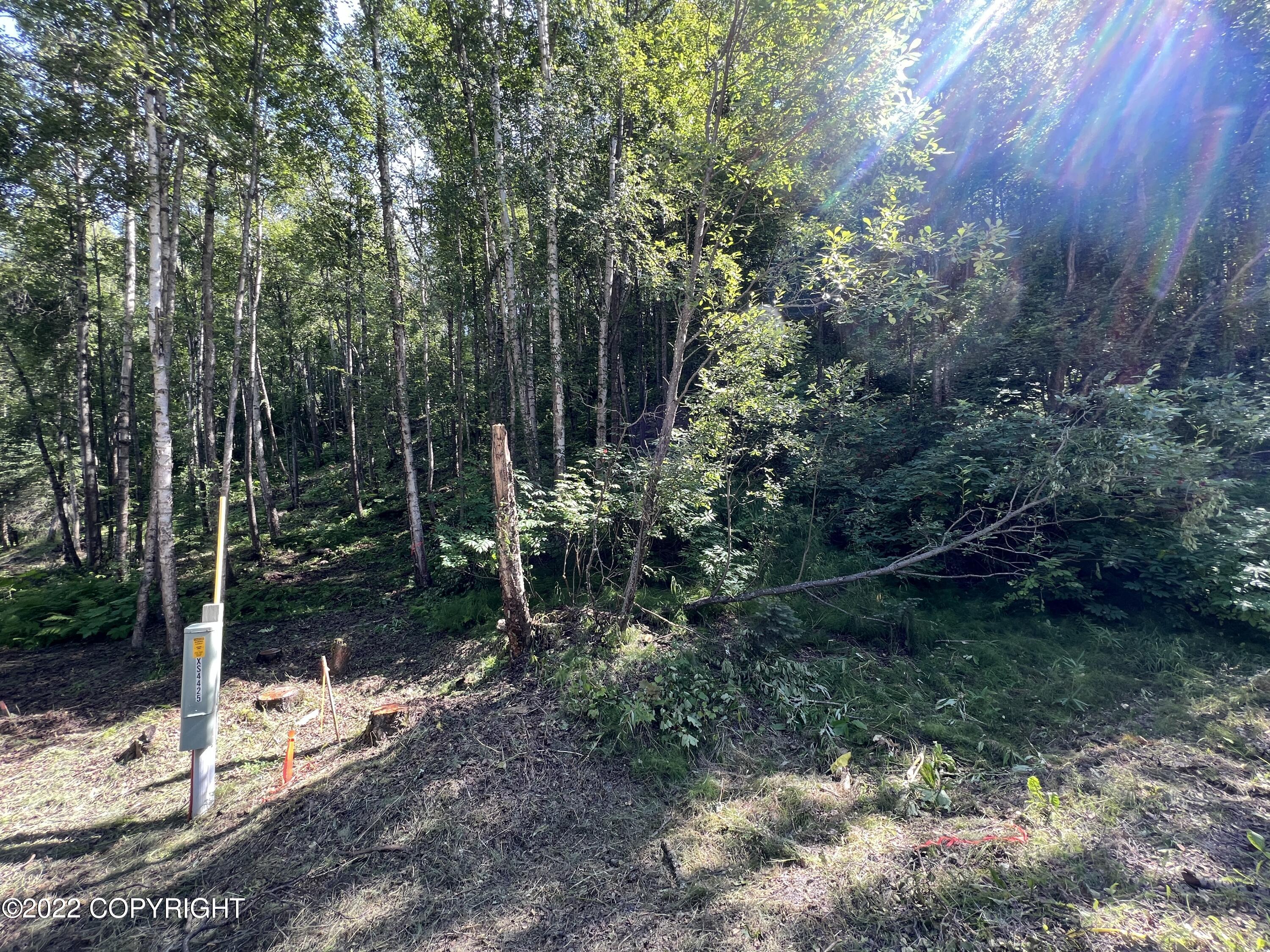 L1 B2 Scimitar Subdivision #1 Property Photo 15