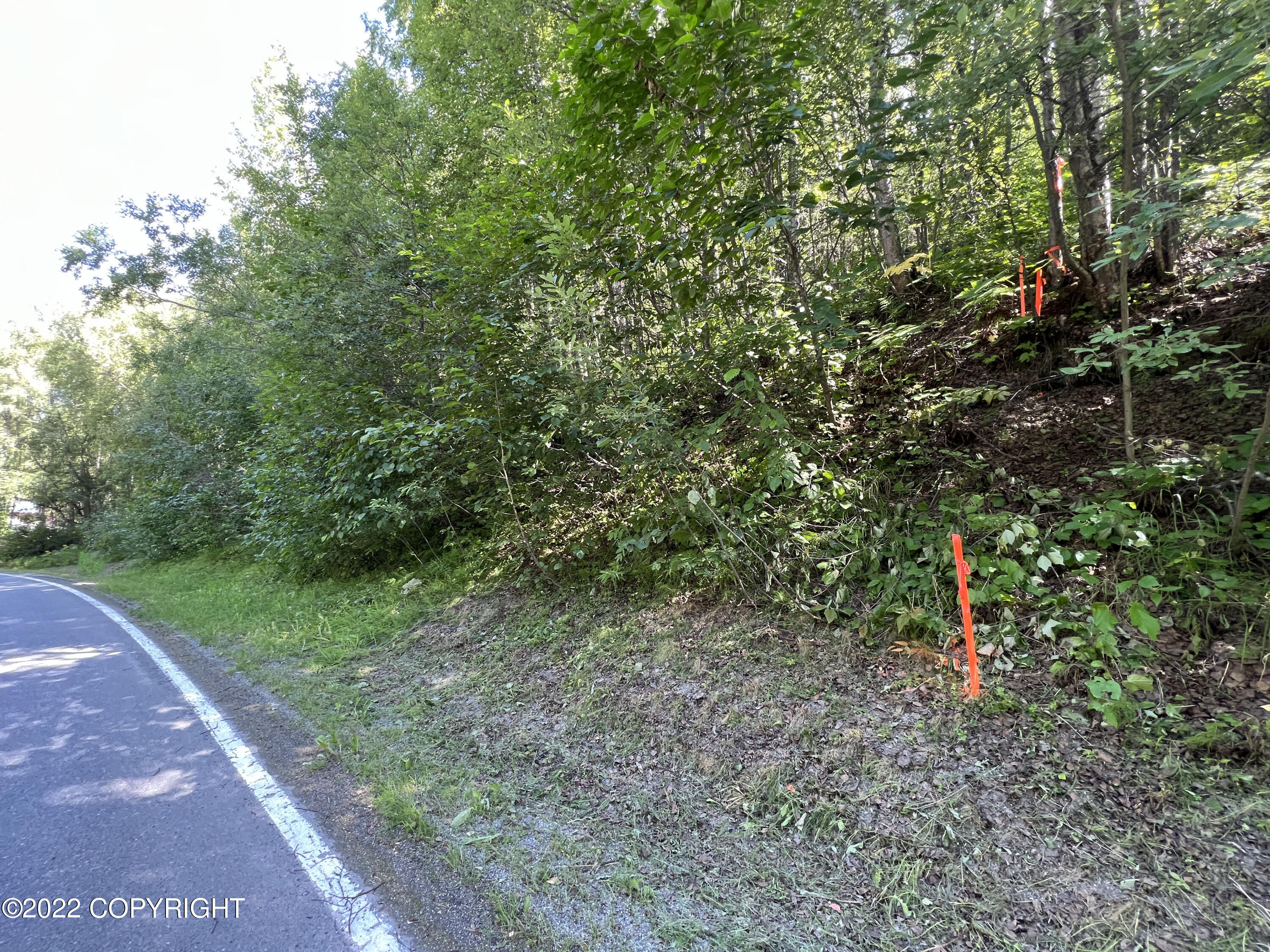 L1 B2 Scimitar Subdivision #1 Property Photo 16