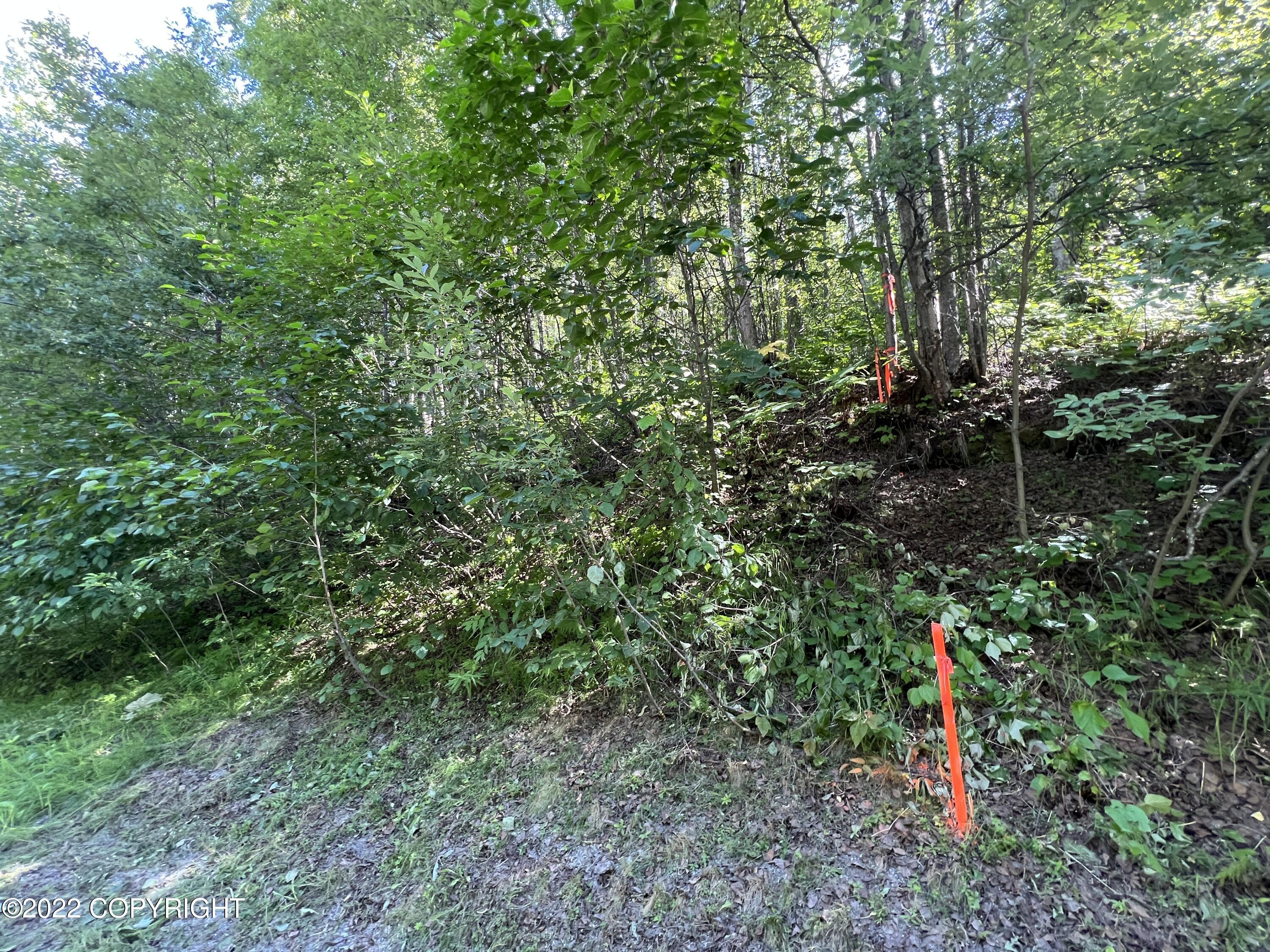 L1 B2 Scimitar Subdivision #1 Property Photo 17