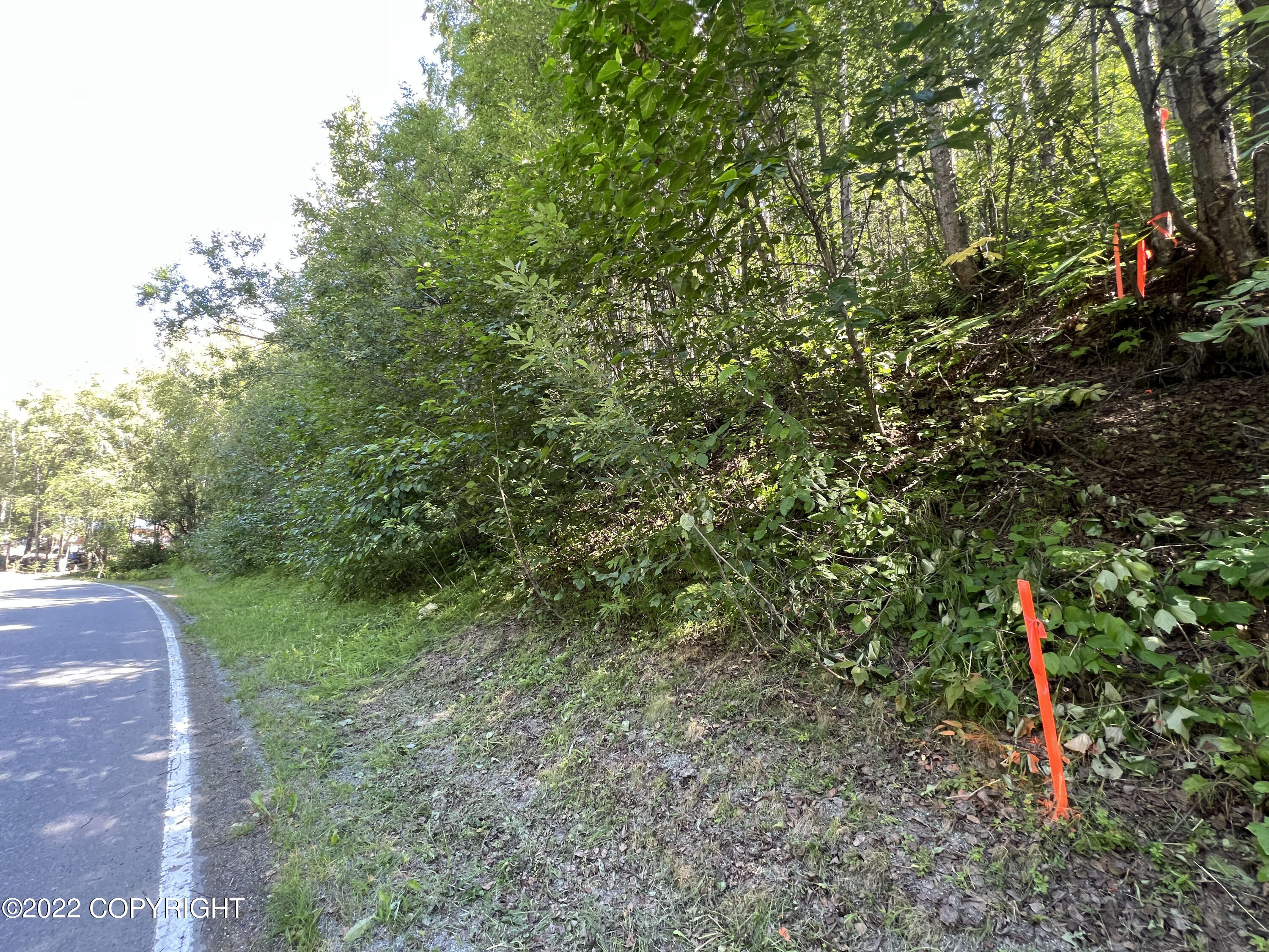 L1 B2 Scimitar Subdivision #1 Property Photo 18